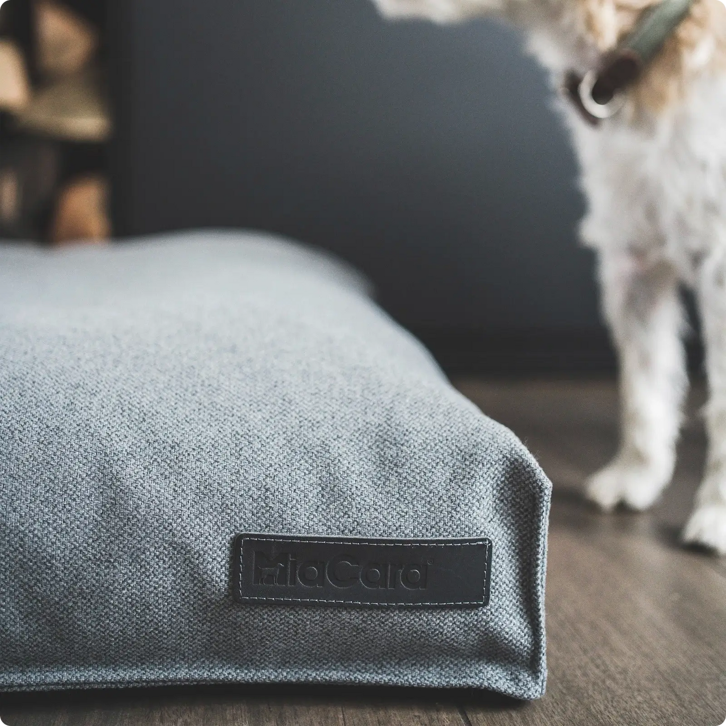 Coussin pour Chien Divo Mustard MiaCara - CHOUKETT Paris (5)