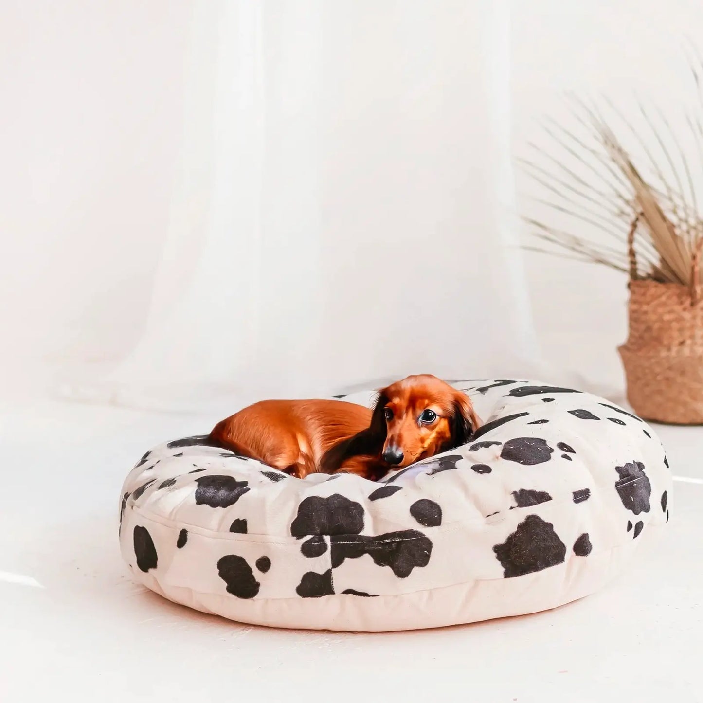 Coussin pour Chien Faux Cuir Vache Minicamp - CHOUKETT Paris (5)