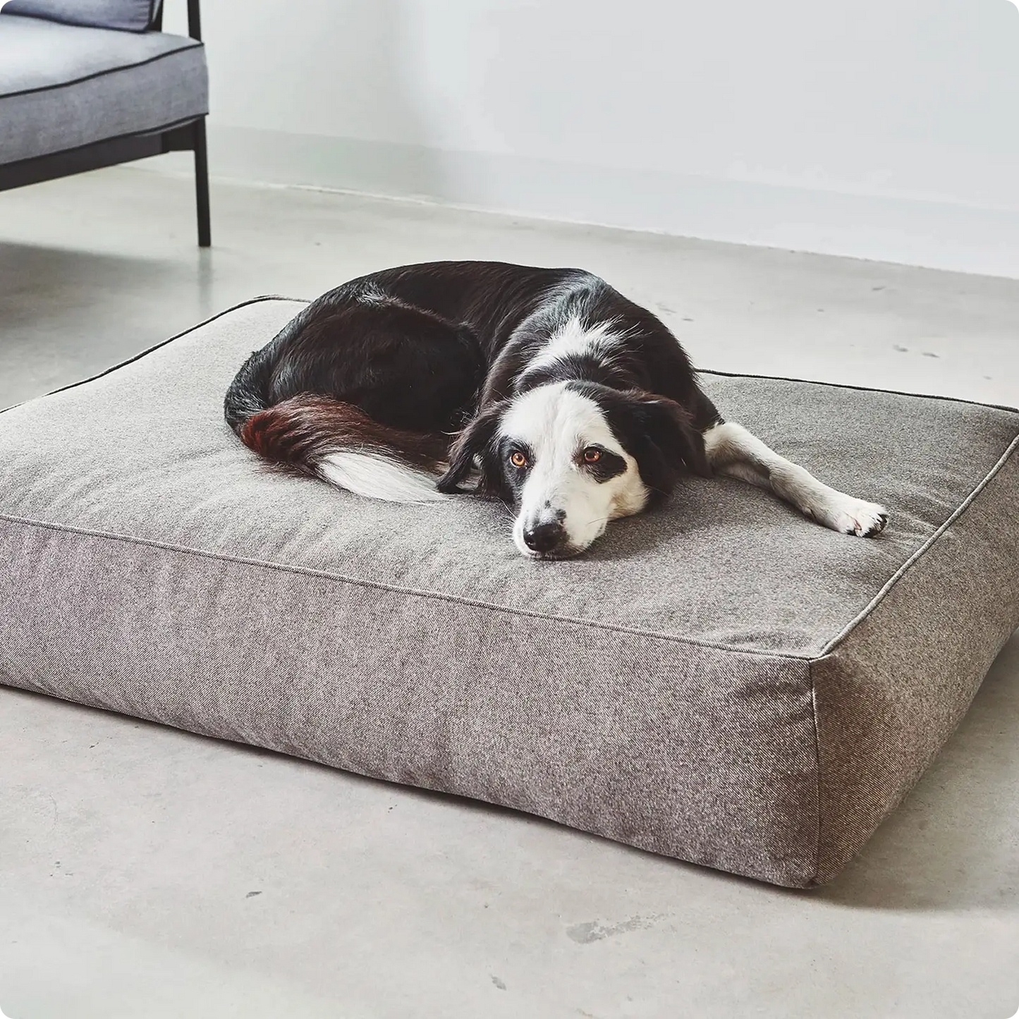 Coussin pour Chien Stella Mottled Mocca MiaCara - CHOUKETT Paris (2)
