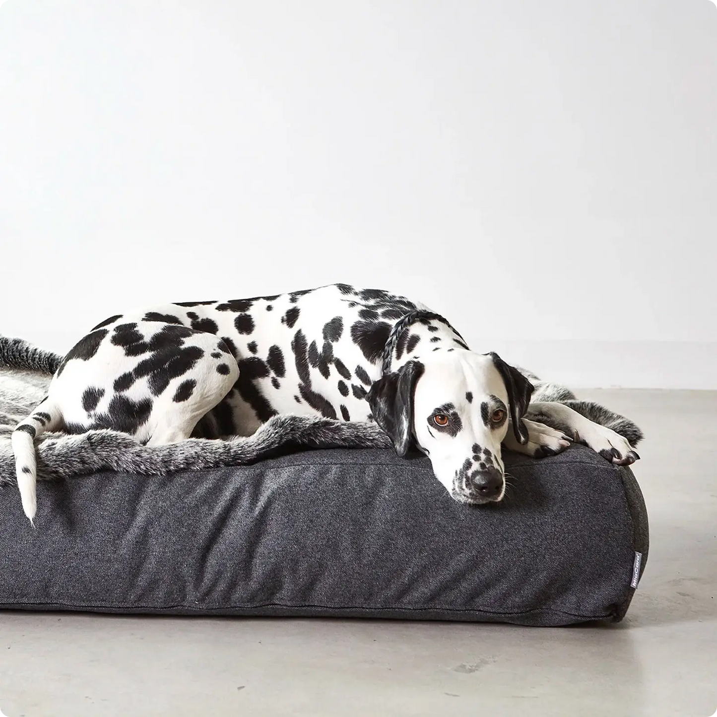 Coussin pour Chien Stella Mottled Mocca MiaCara - CHOUKETT Paris (5)