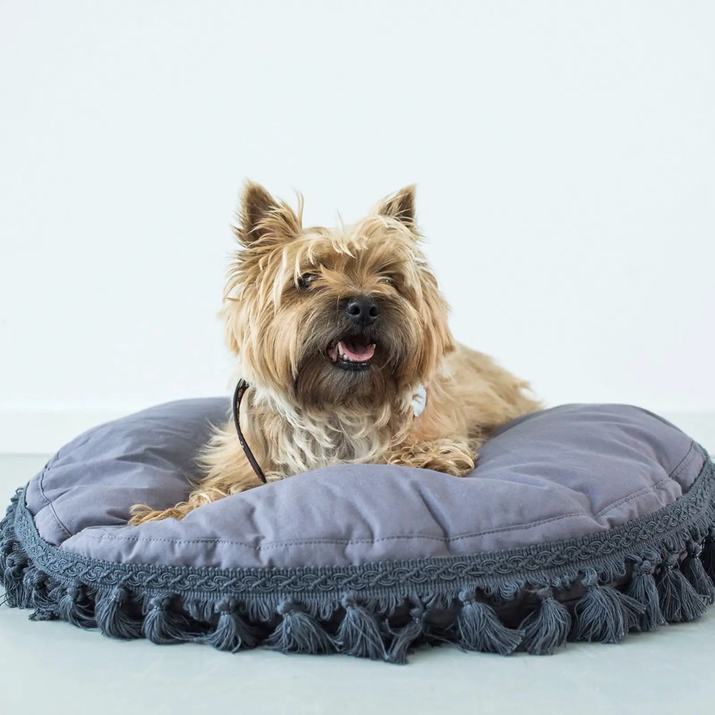 Coussin pour Chien Luxury Tassels Blue Minicamp - CHOUKETT Paris (1)