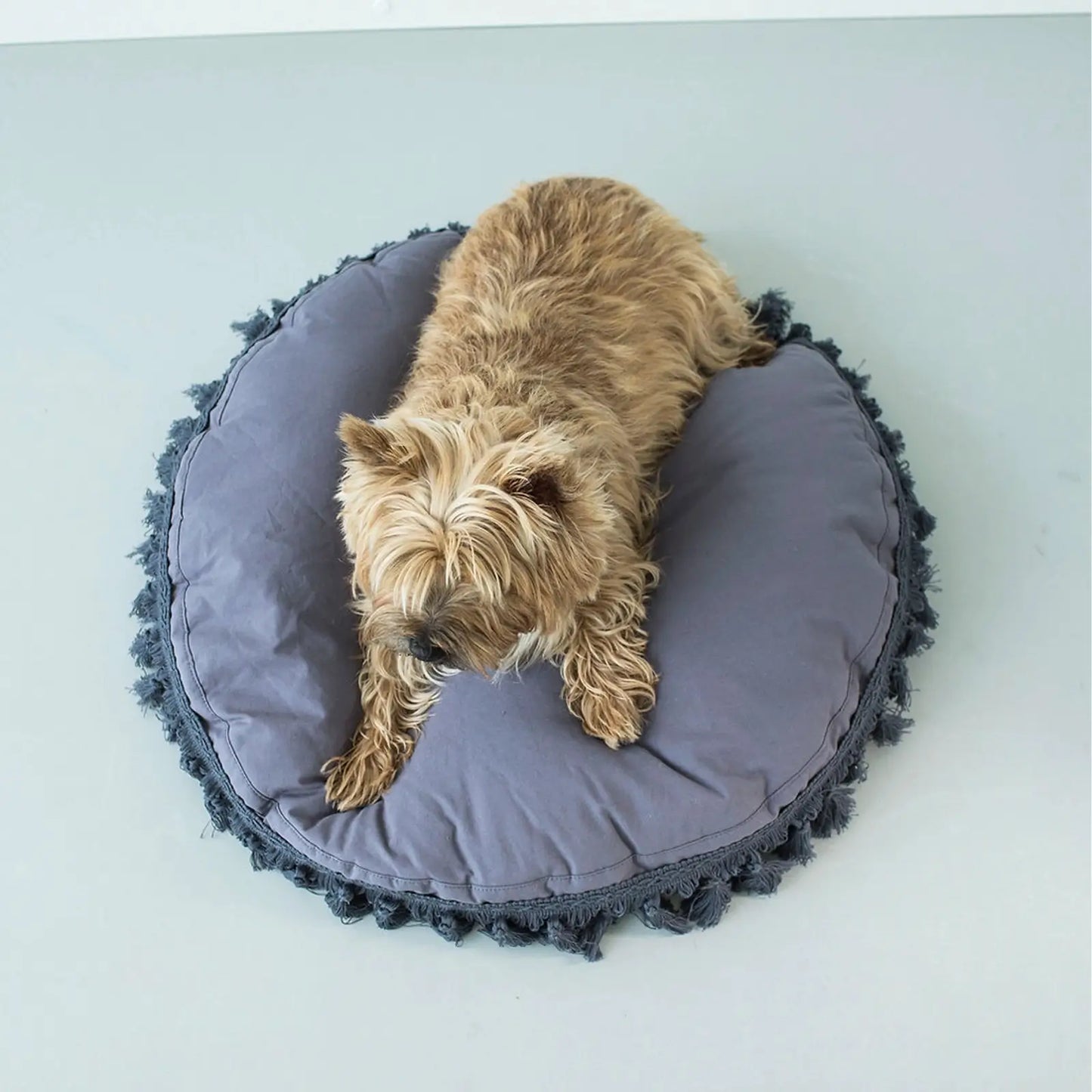 Coussin pour Chien Luxury Tassels Blue Minicamp - CHOUKETT Paris (2)