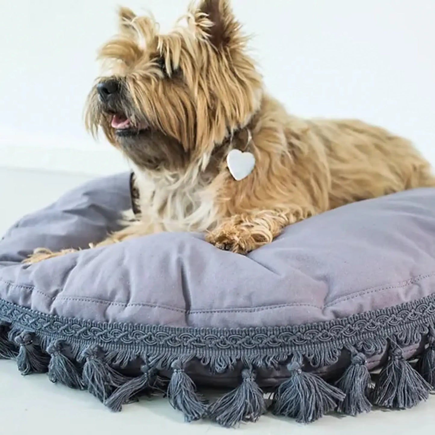 Coussin pour Chien Luxury Tassels Blue Minicamp - CHOUKETT Paris (3)