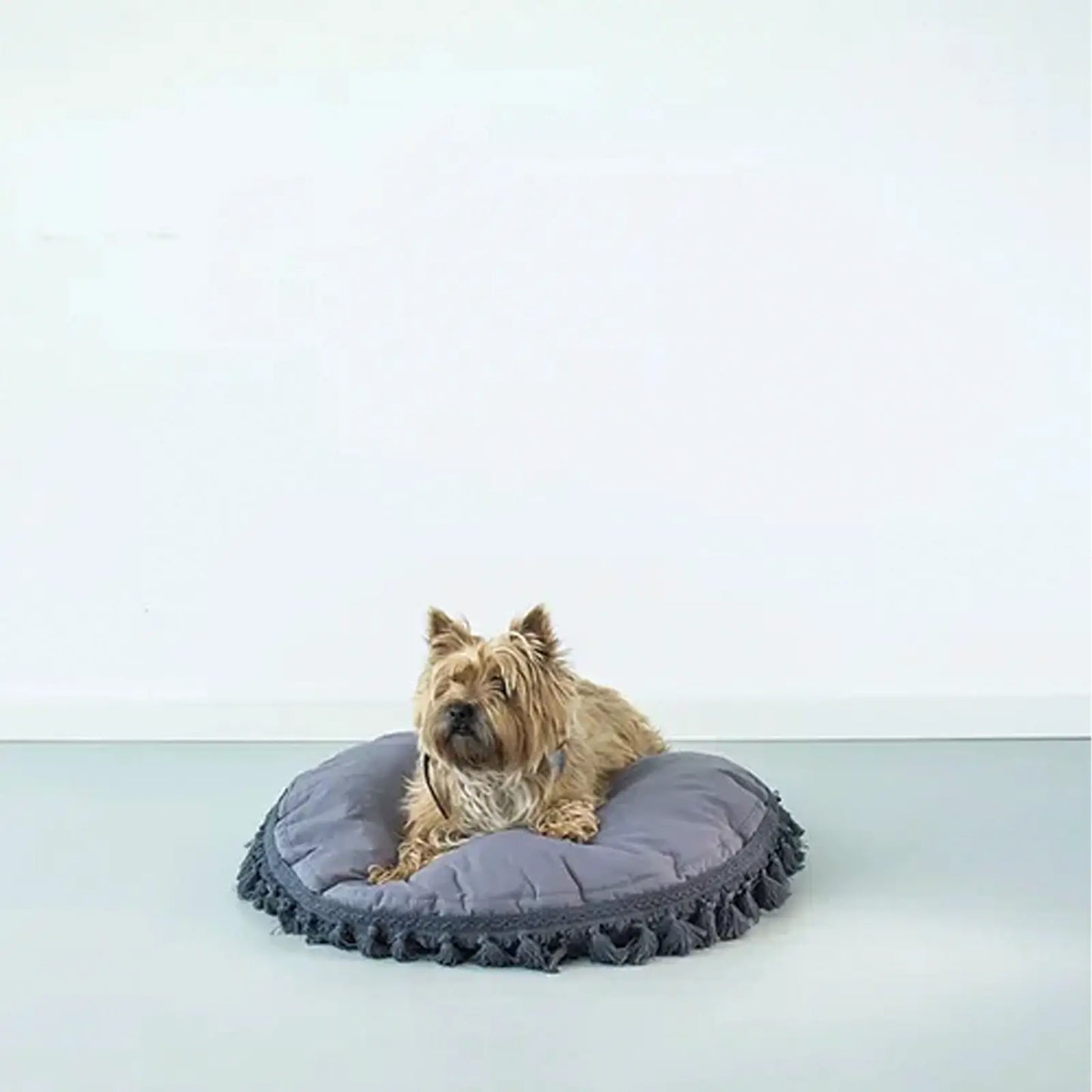 Coussin pour Chien Luxury Tassels Blue Minicamp - CHOUKETT Paris (4)