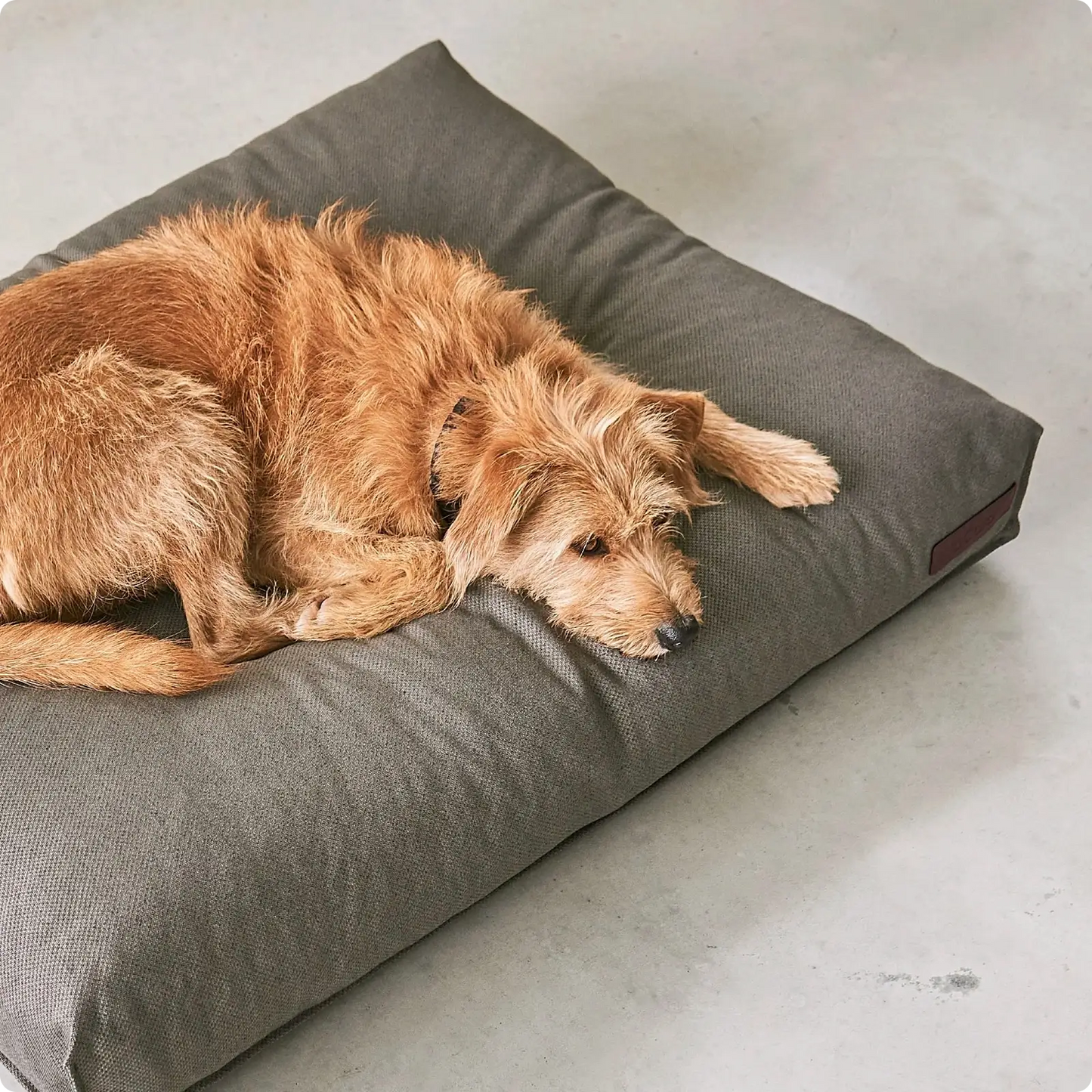 Coussin pour Chien Mare Slate MiaCara - CHOUKETT Paris (4)