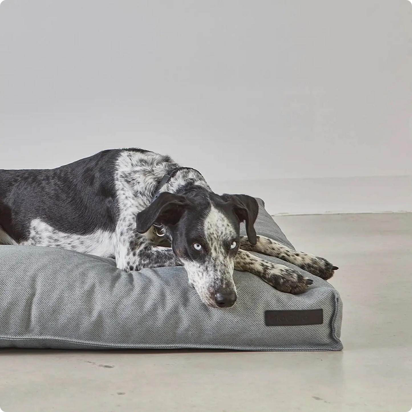 Coussin pour Chien Mare Slate MiaCara - CHOUKETT Paris (5)