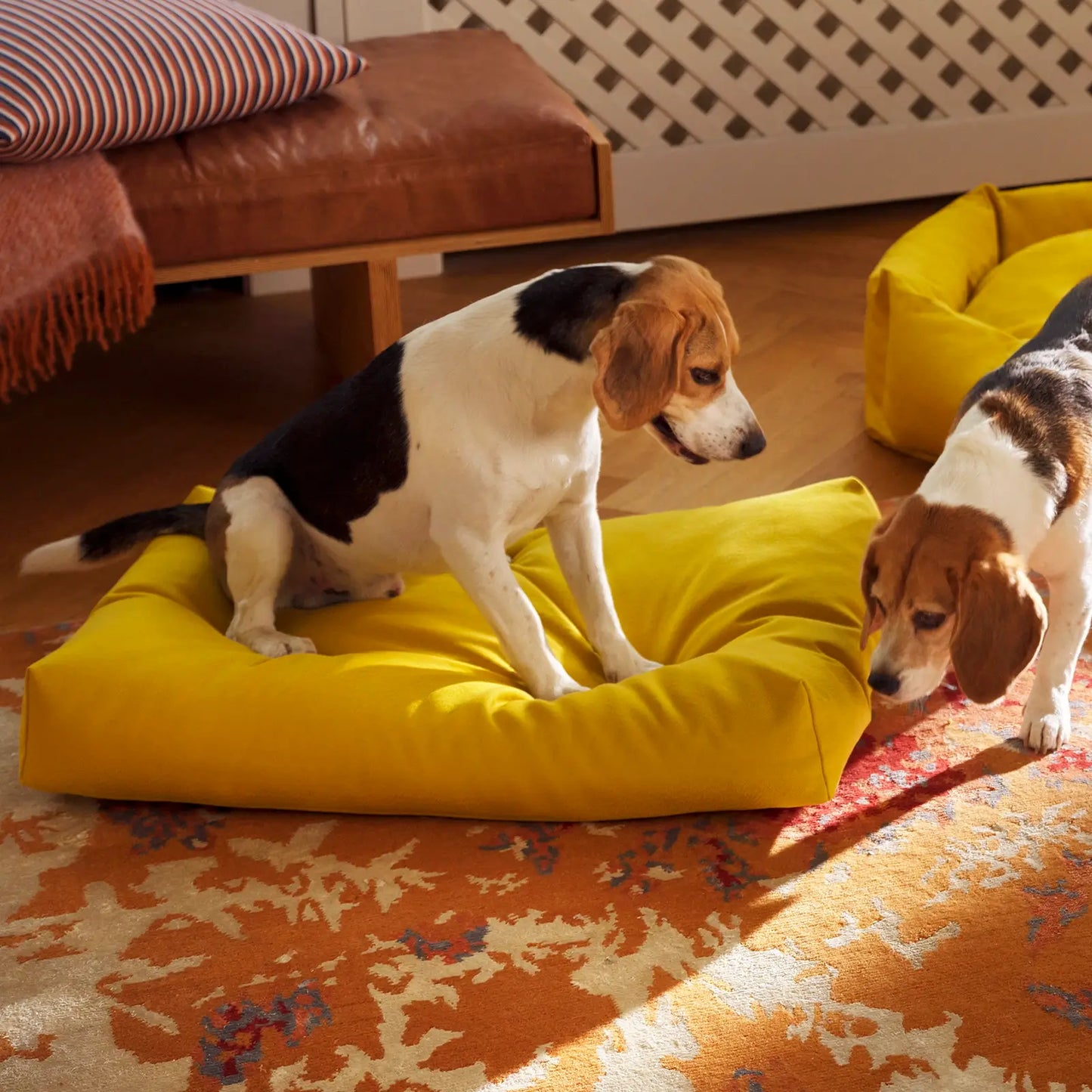 Coussin pour Chien Oksa Kvadrat Hot Juniper Kanto - CHOUKETT Paris (2)