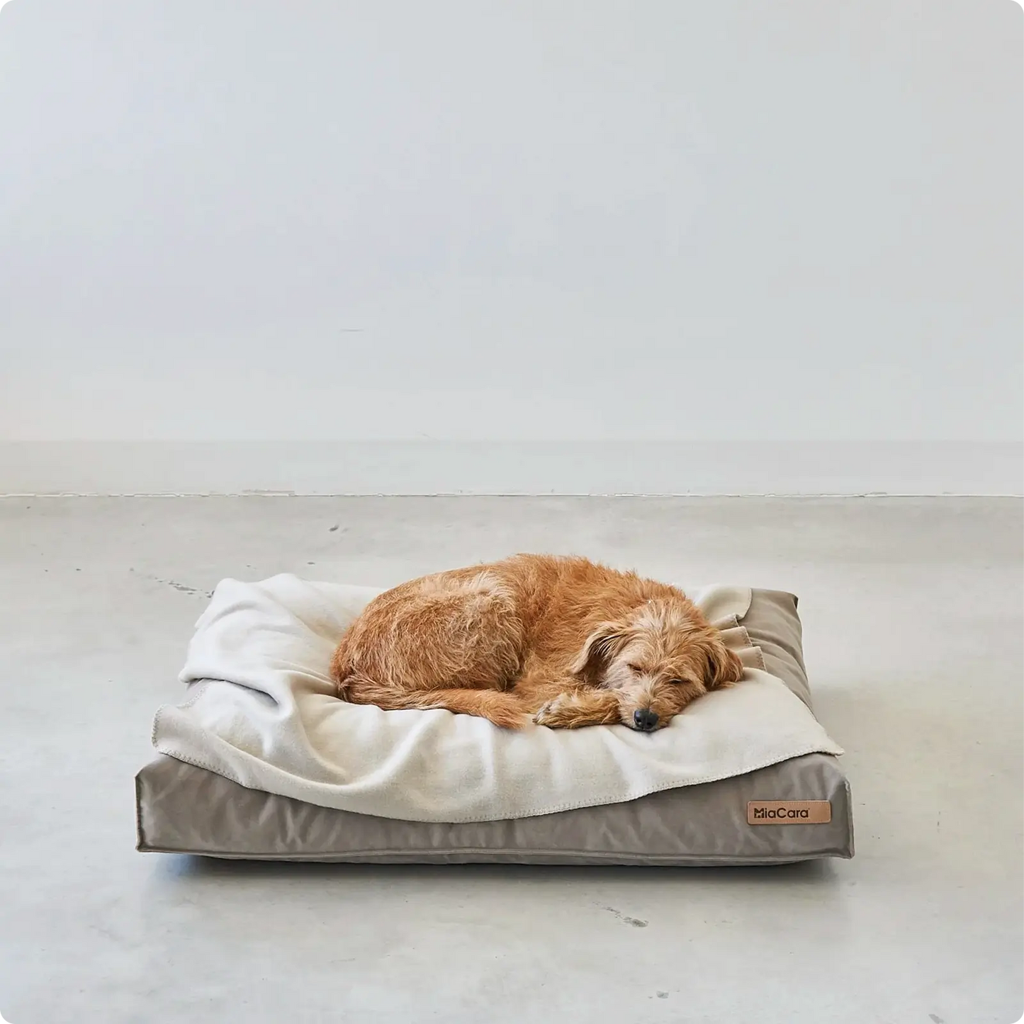 Coussin pour Chien Velluto Greige MiaCara - CHOUKETT Paris (3)