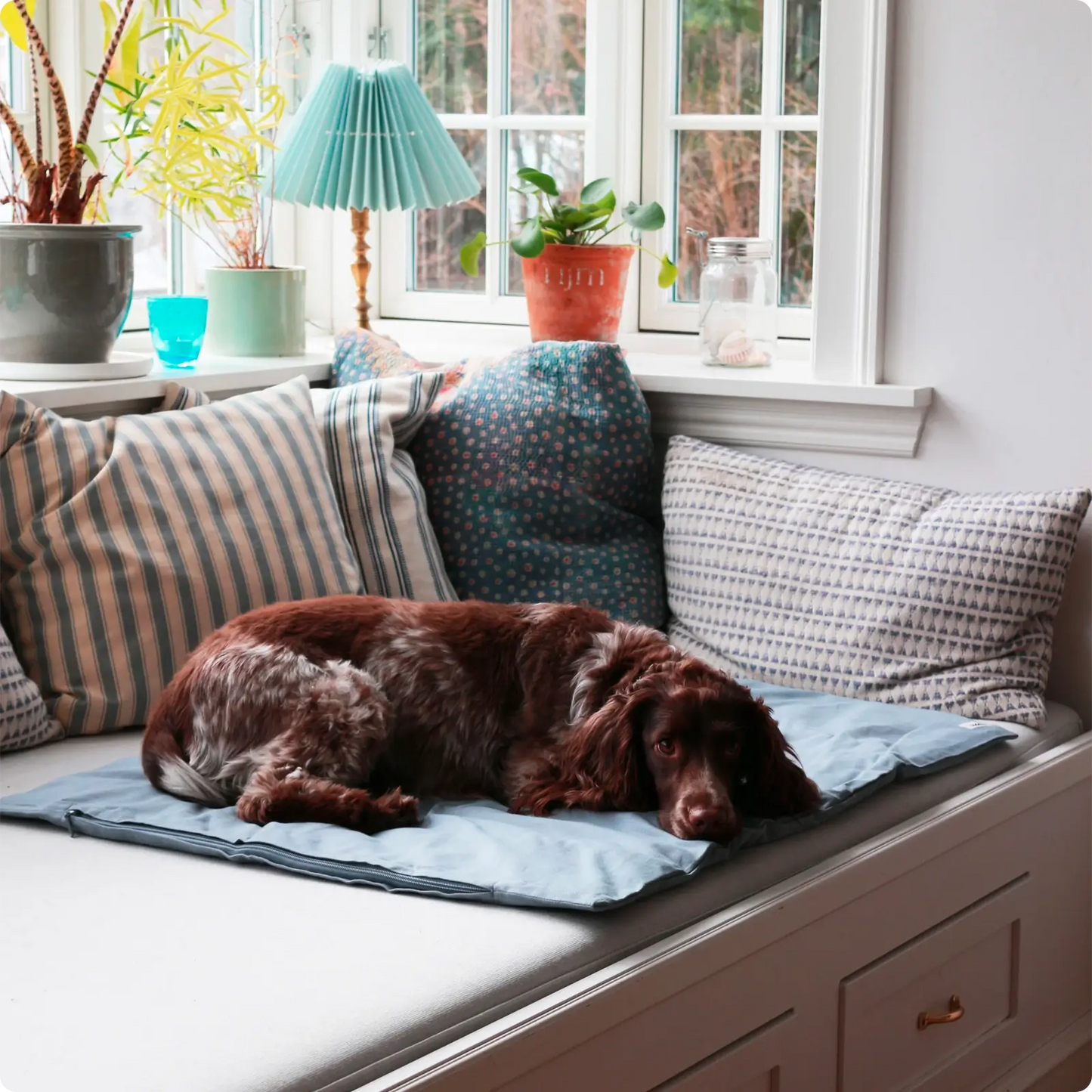 Couverture pour chien Faded Blue Tadazhi - CHOUKETT Paris (4)