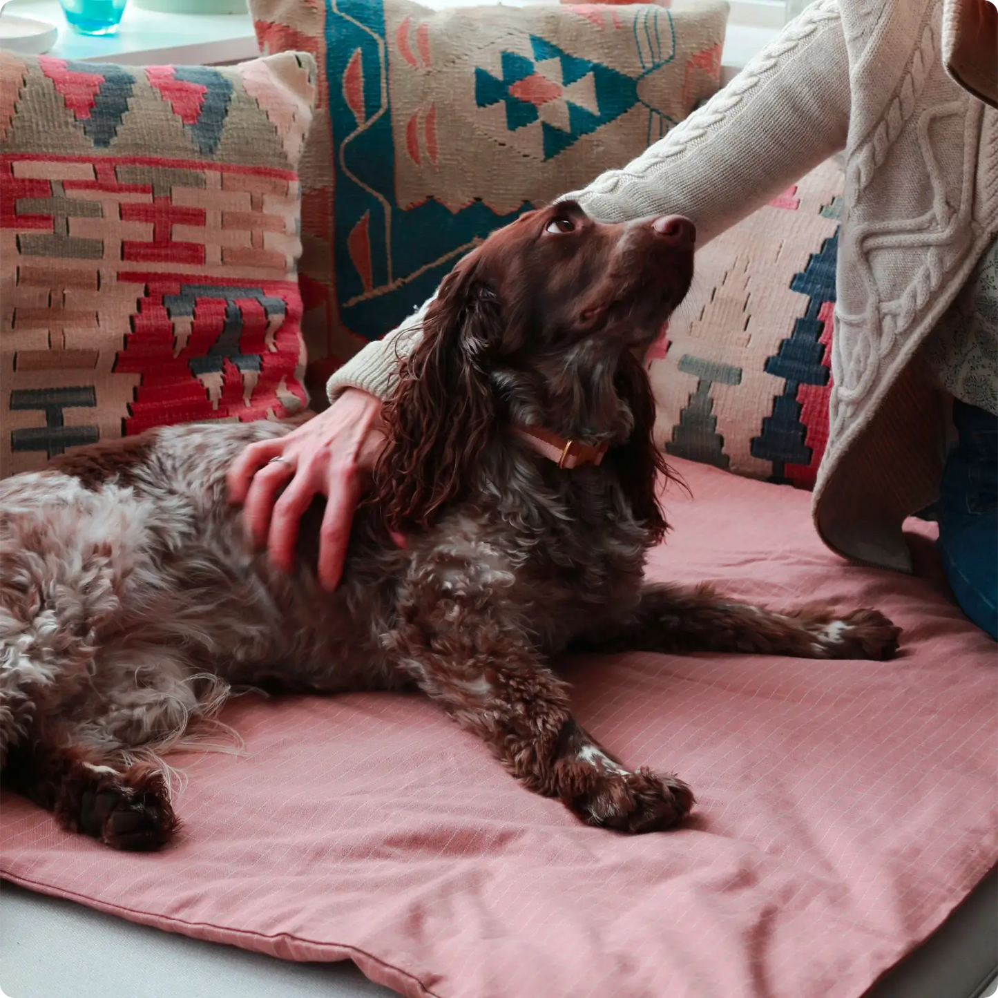 Couverture pour chien Check Rose Tadazhi - CHOUKETT Paris (2)