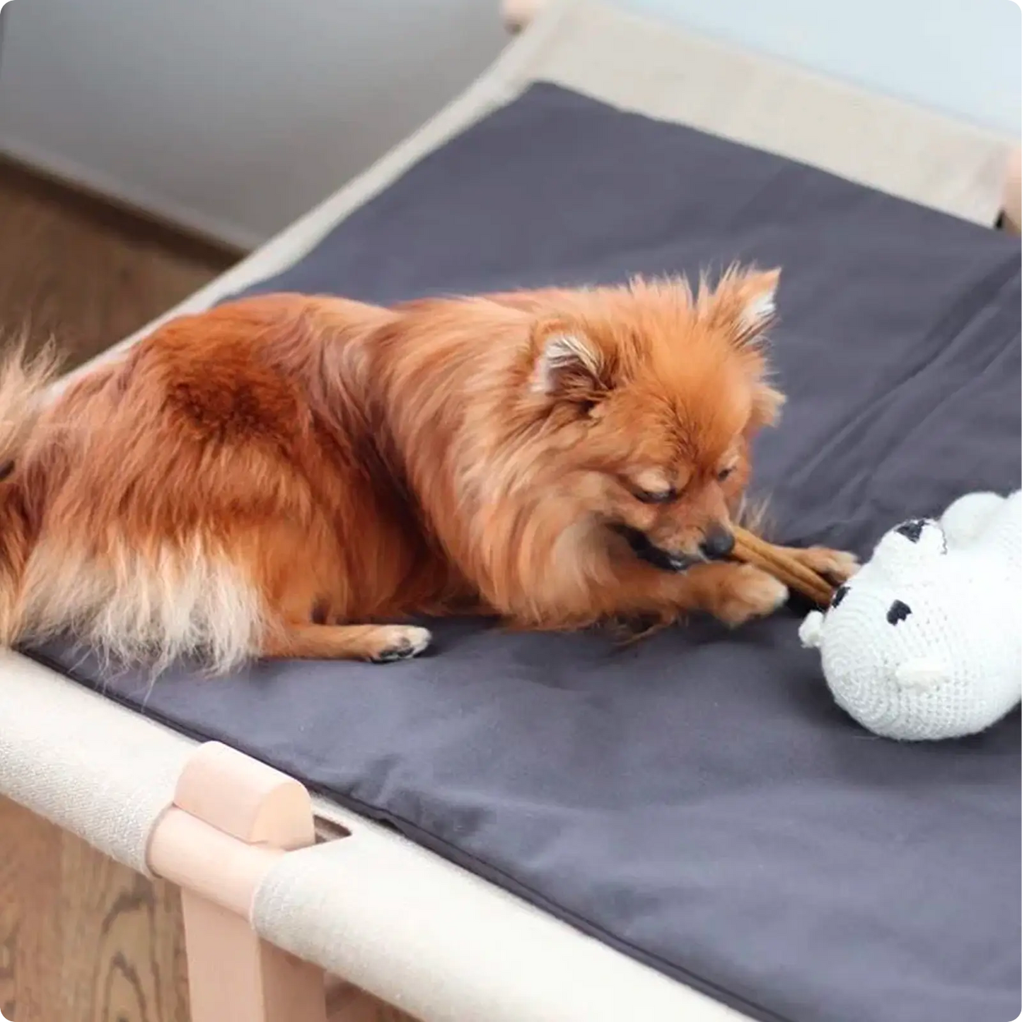 Couverture pour chien Warm Grey Tadazhi - CHOUKETT Paris (2)