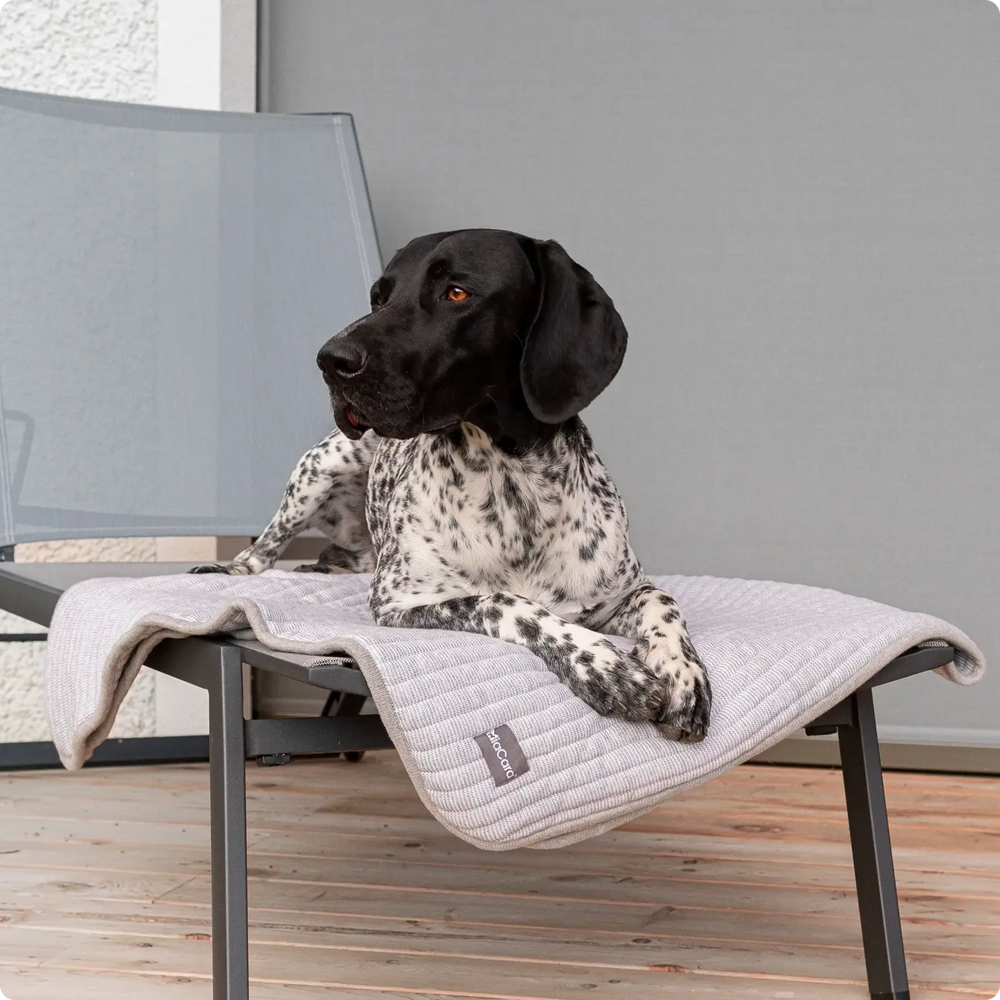 Couverture pour chien Onda Pebble MiaCara - CHOUKETT Paris (2)