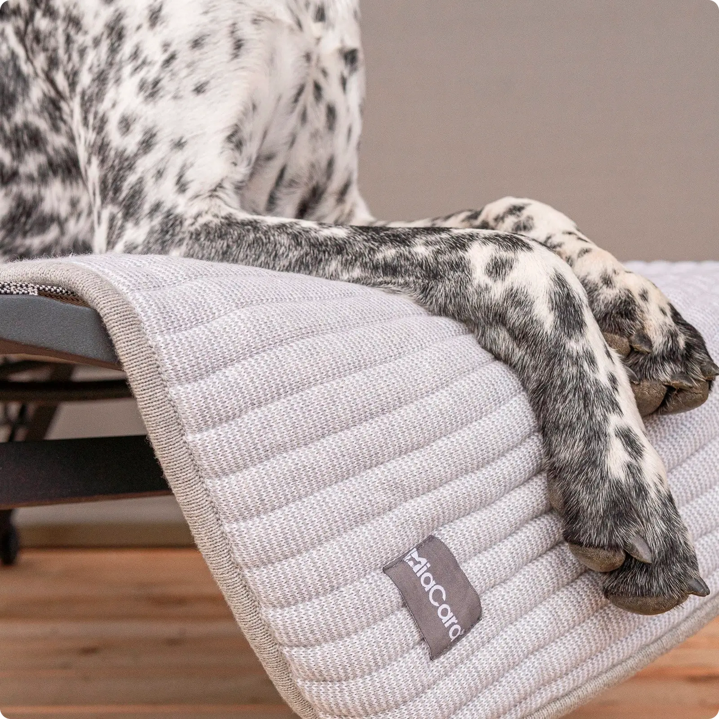 Couverture pour chien Onda Pebble MiaCara - CHOUKETT Paris (3)