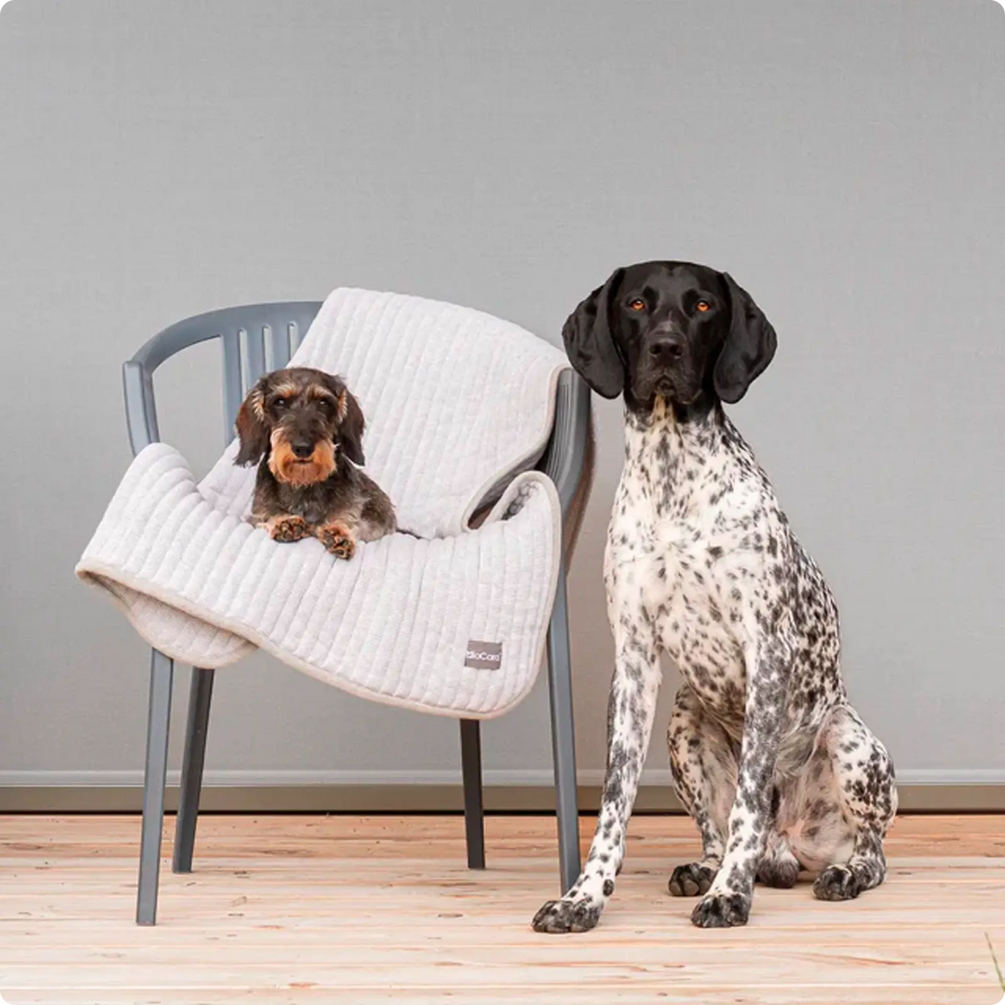 Couverture pour chien Onda Pebble MiaCara - CHOUKETT Paris (6)
