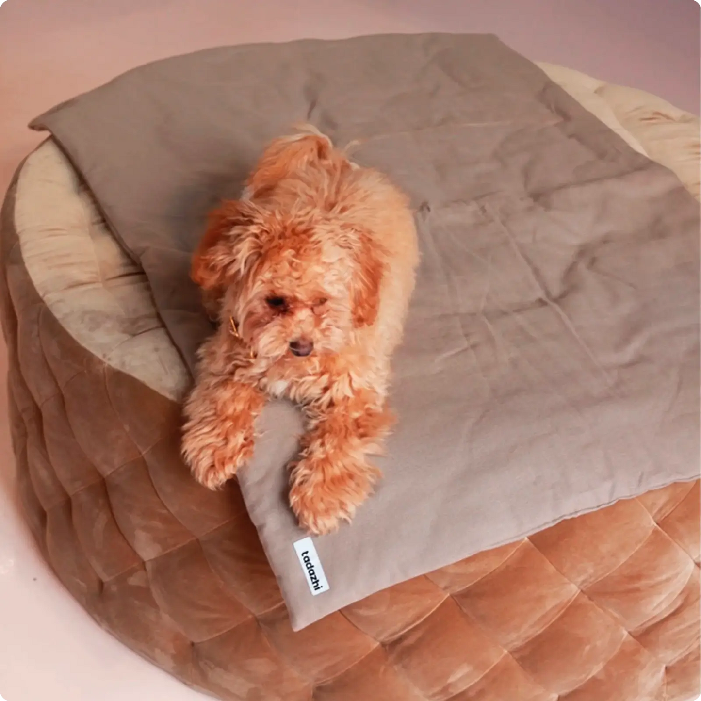 Couverture et Tote Bag pour chien Beige Tadazhi - CHOUKETT Paris (5)