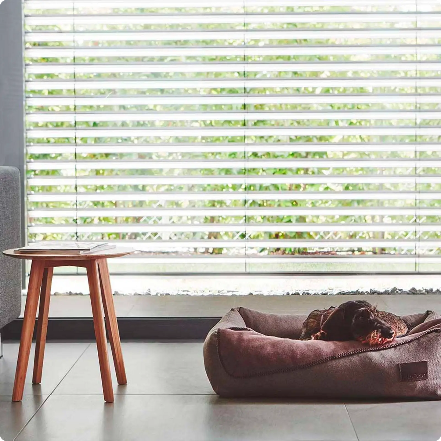 Couverture pour chien Unica Sage MiaCara - CHOUKETT Paris (7)