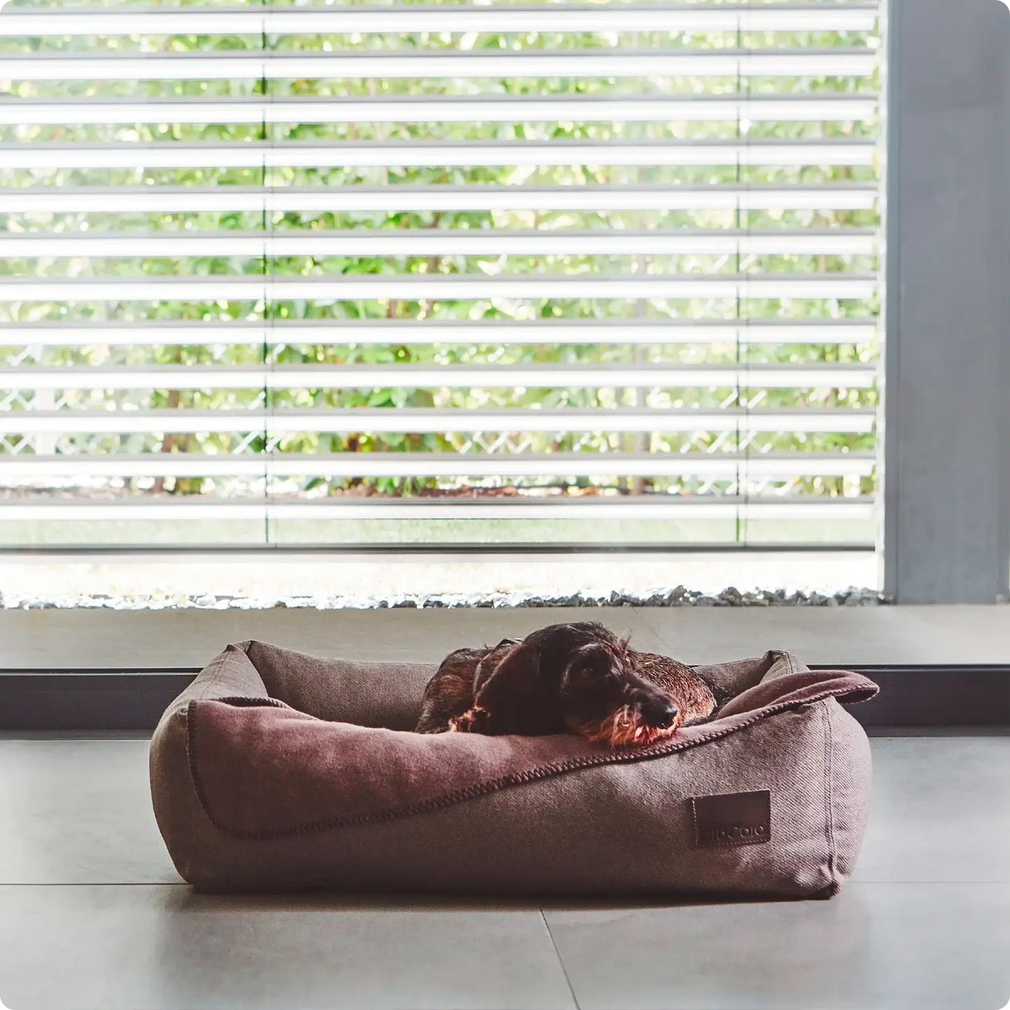 Lit pour Chien Divo Mocca MiaCara - CHOUKETT Paris (2)