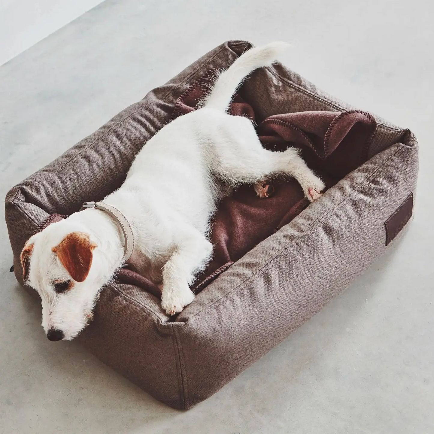Lit pour Chien Divo Mocca MiaCara - CHOUKETT Paris (3)