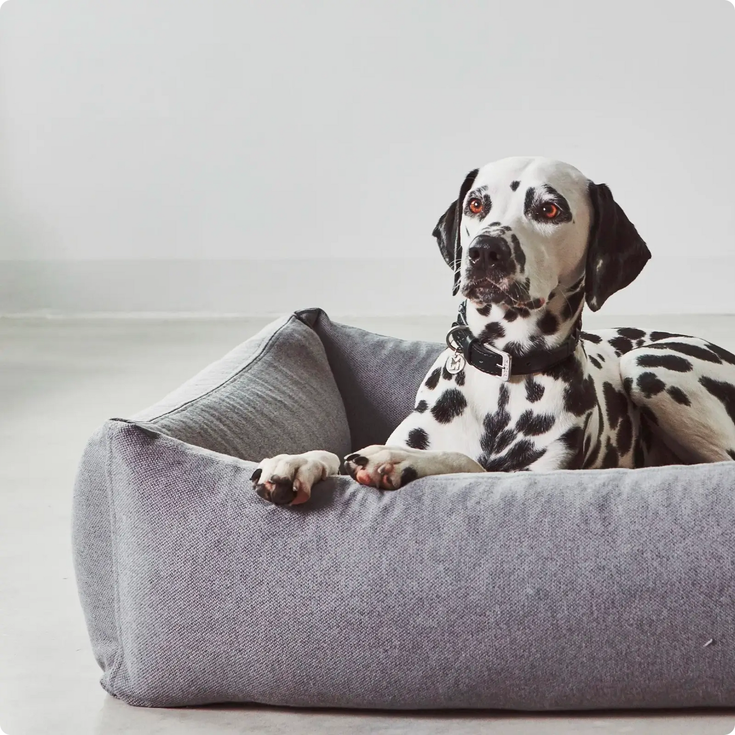 Lit pour Chien Divo Mocca MiaCara - CHOUKETT Paris (5)