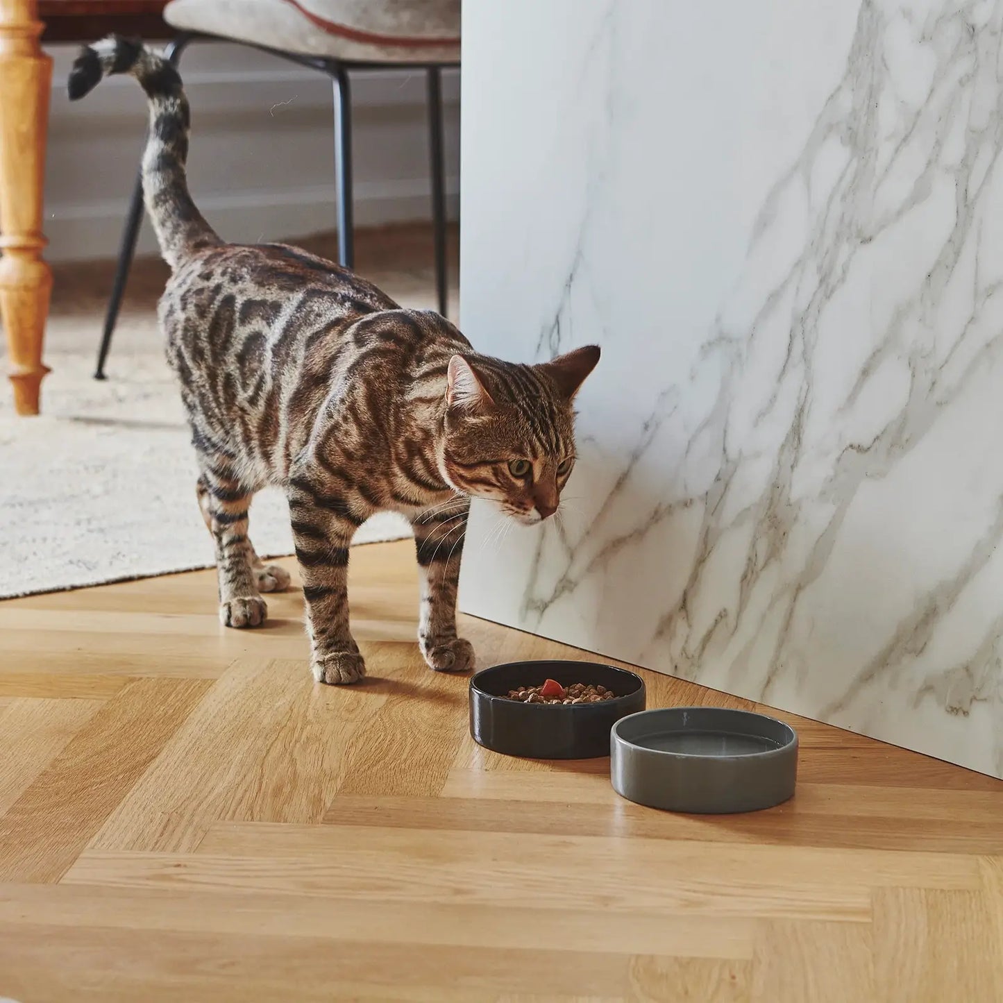 Gamelle pour Chat Scodella Graphite MiaCara - CHOUKETT Paris (3)