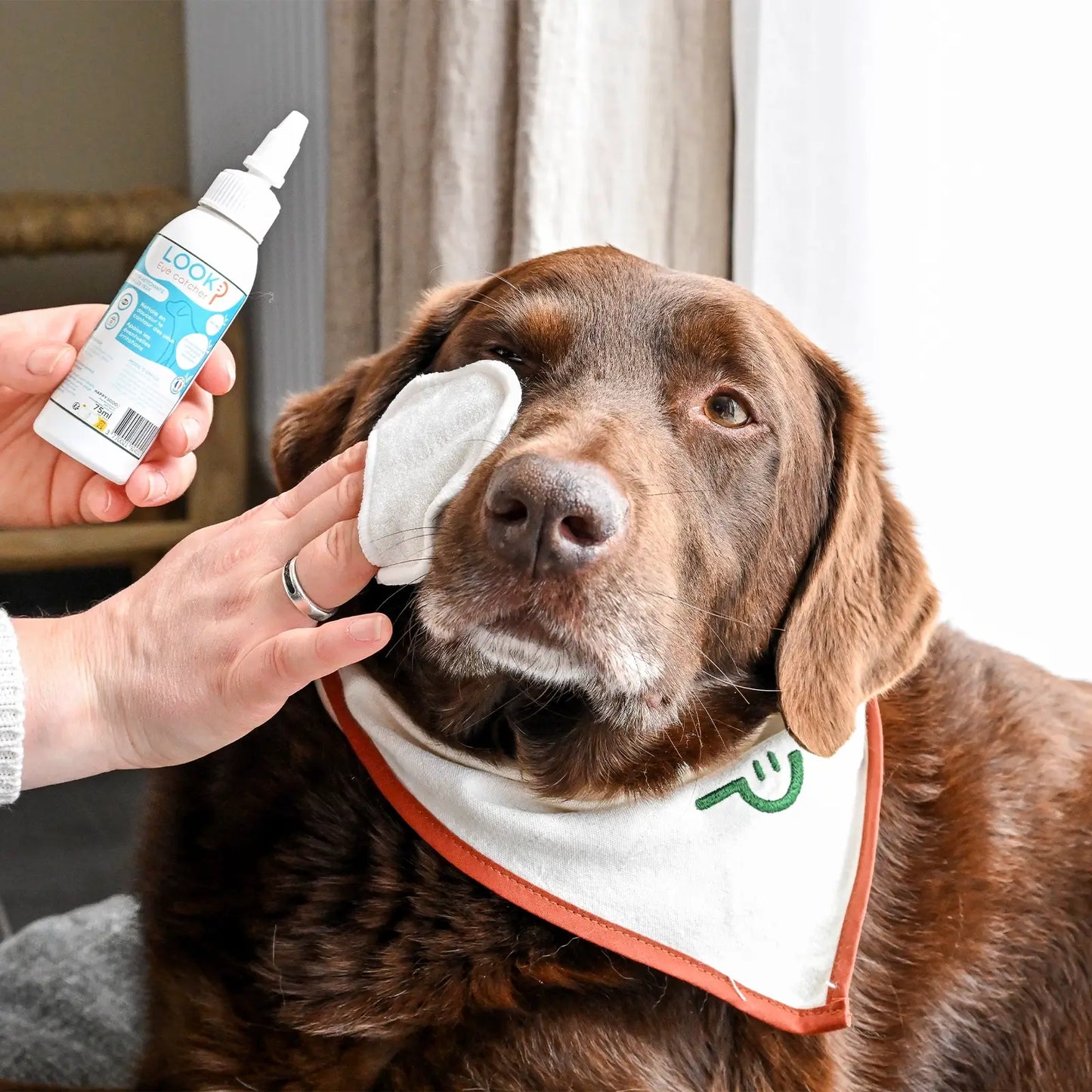 Lotion oculaire pour chien Look Happy Scoop - CHOUKETT Paris (3)