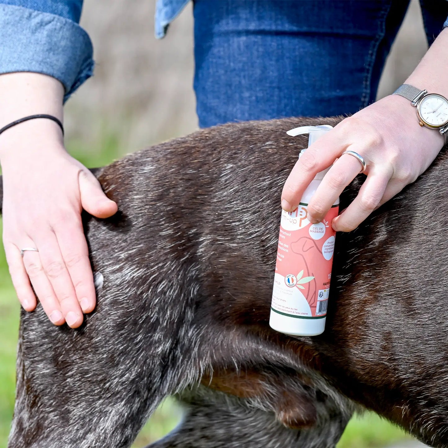 Gel massant pour chien Warm Happy Scoop - CHOUKETT Paris (3)