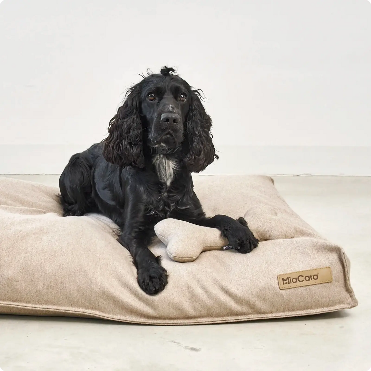 Jouet pour Chien Calma Anthracite MiaCara - CHOUKETT Paris (3)