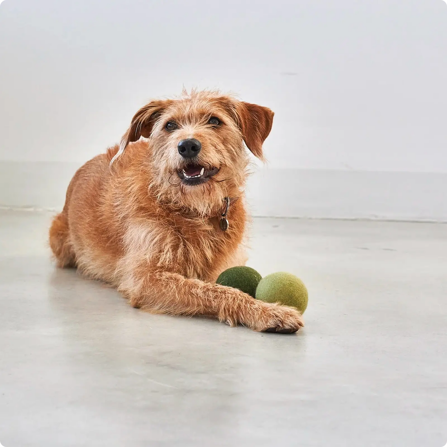 Balles pour Chien Globo Coral MiaCara - CHOUKETT Paris (4)