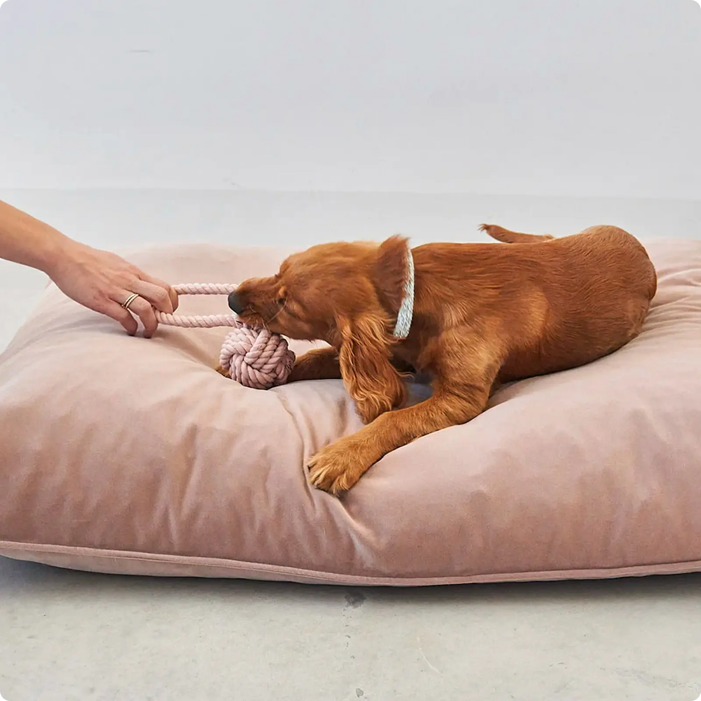 Jouet à tirer Nodo Dusty Green MiaCara - CHOUKETT Paris (3)