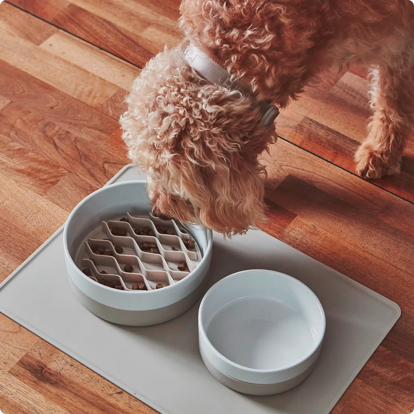 Insert anti-glouton Lento Greige MiaCara - CHOUKETT Paris (3)