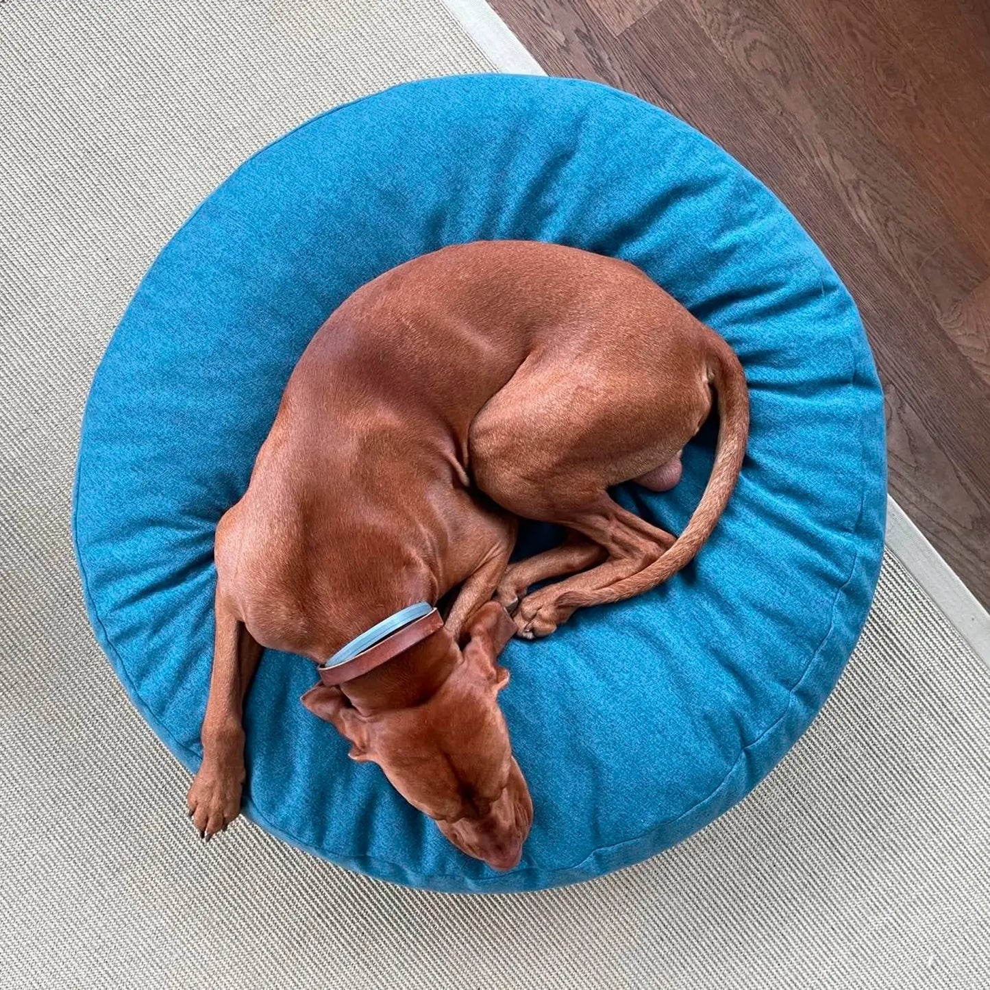 Coussin pour Chien The Cloud Shadow Grey Molly & Stitch - CHOUKETT Paris (4)