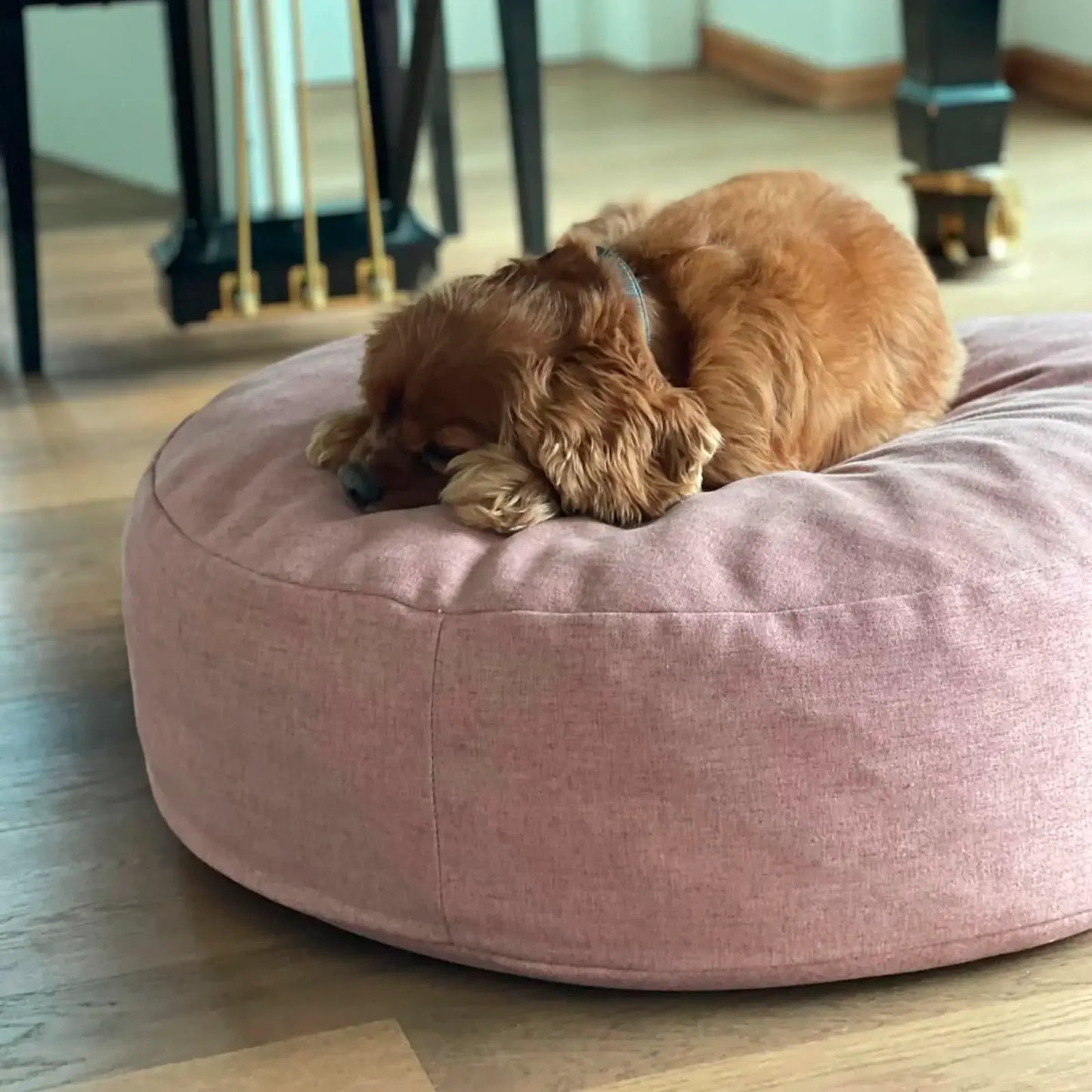 Coussin pour Chien The Cloud Steel Blue Molly & Stitch - CHOUKETT Paris (2)