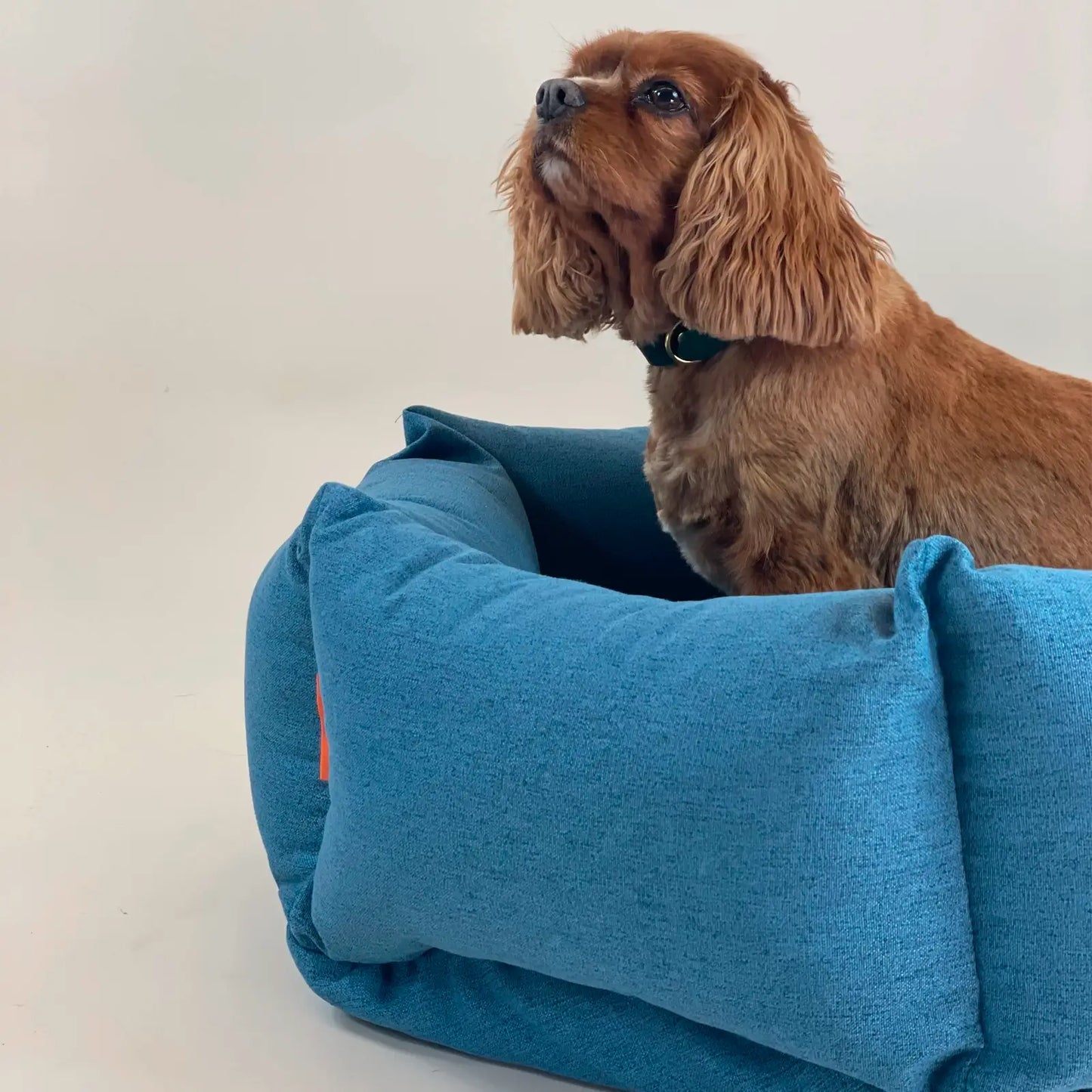 Lit pour Chien The Nest Steel BlueMolly & Stitch - CHOUKETT Paris (4)
