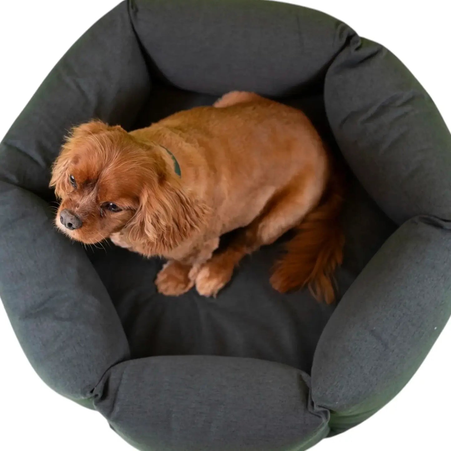 Lit pour Chien The Nest Steel BlueMolly & Stitch - CHOUKETT Paris (6)