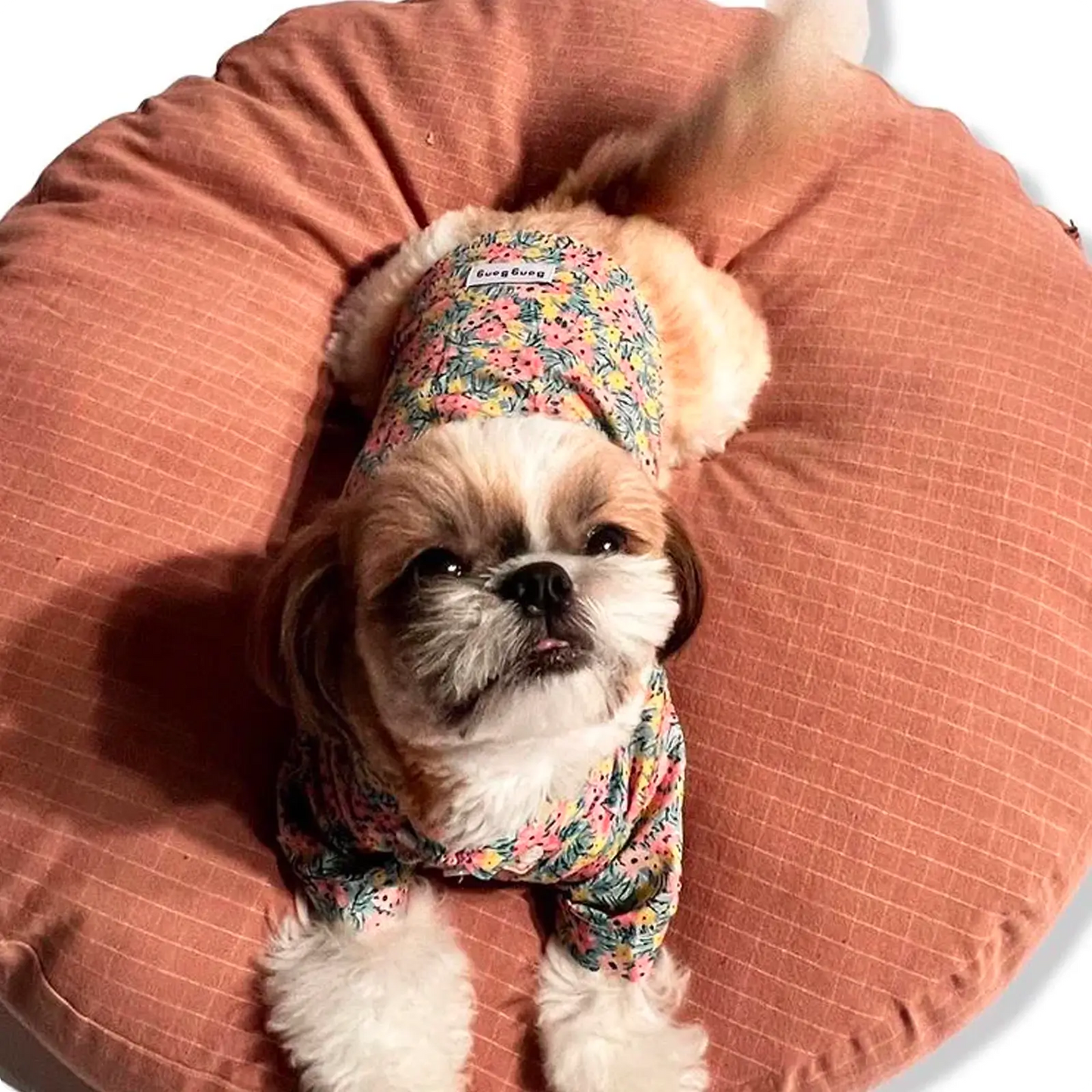 Coussin pour Chien Poespas Check Rose Tadazhi - CHOUKETT Paris (2)