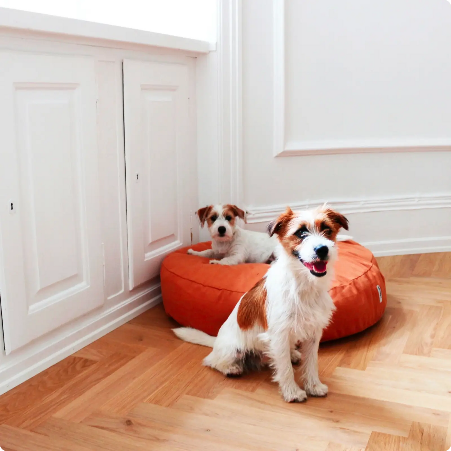 Coussin pour Chien Poespas Light Brown Tadazhi - CHOUKETT Paris (2)