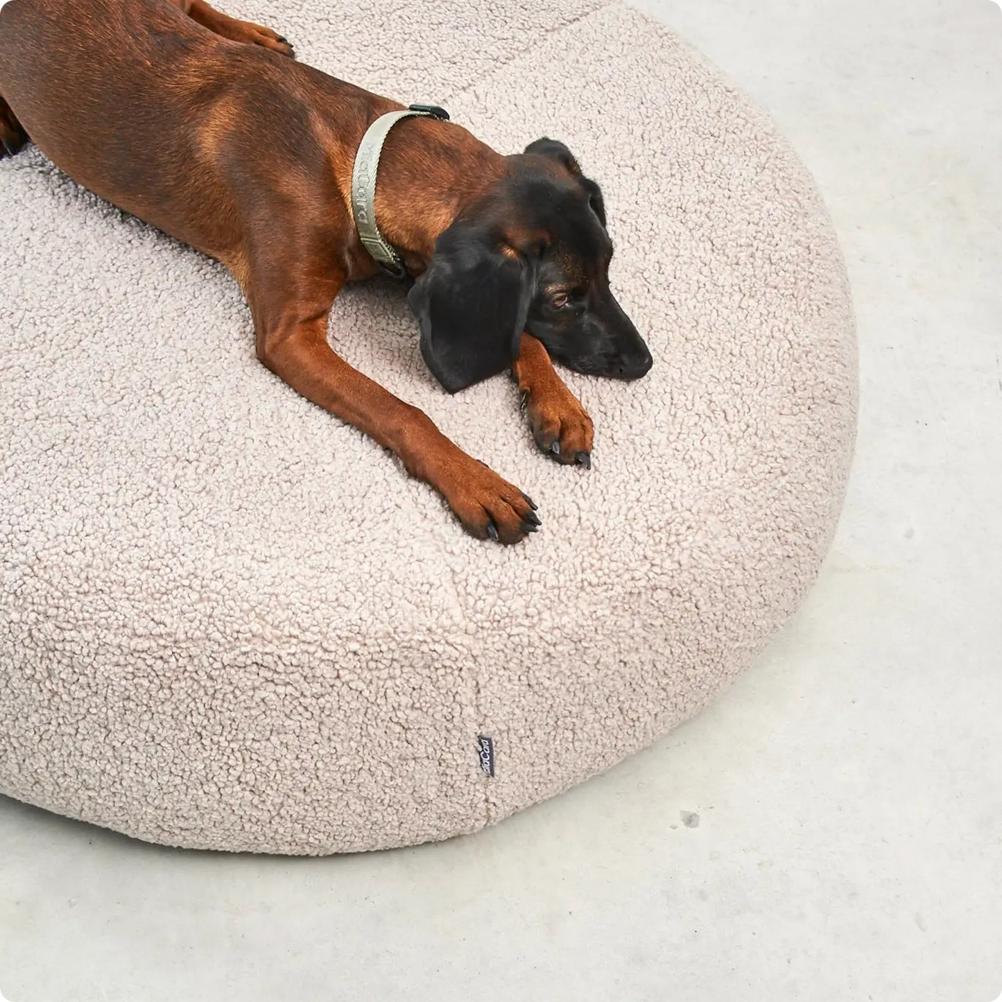 Pouf pour Chien Senso Greige MiaCara - CHOUKETT Paris (3)