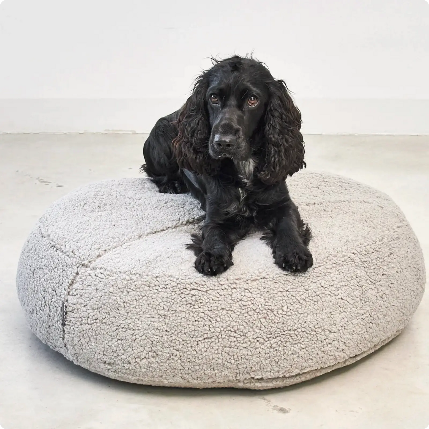Pouf pour Chien Senso Graphite MiaCara - CHOUKETT Paris (5)