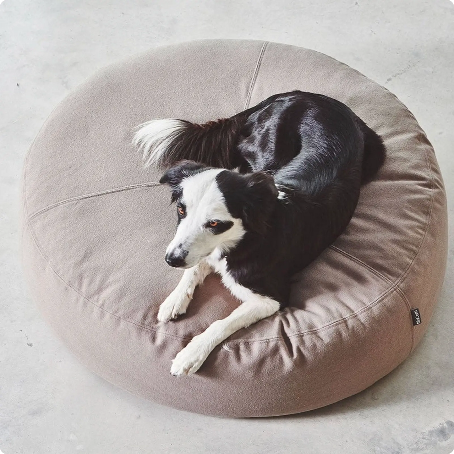 Pouf pour Chien Stella Slate MiaCara - CHOUKETT Paris (5)