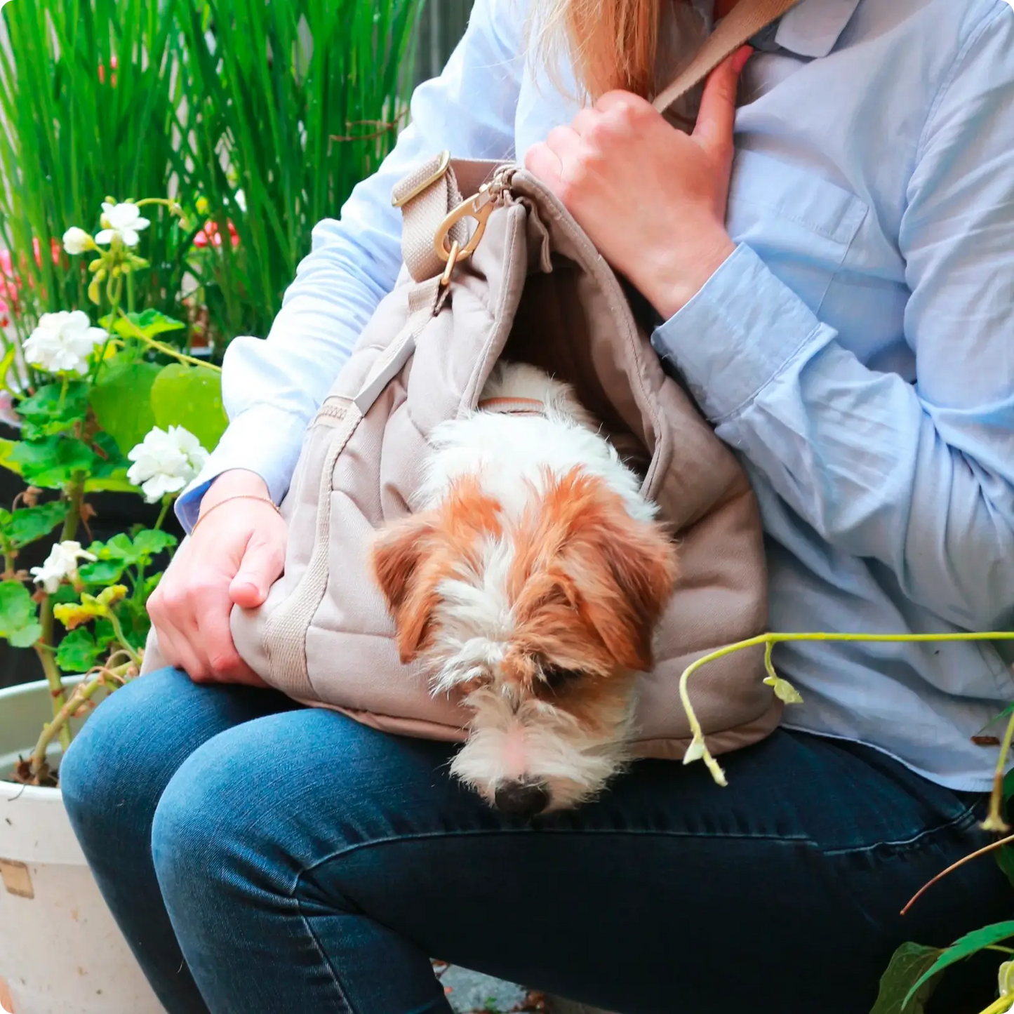 Sac de Transport pour Chien Rio Dark Sand Tadazhi - CHOUKETT Paris (3)