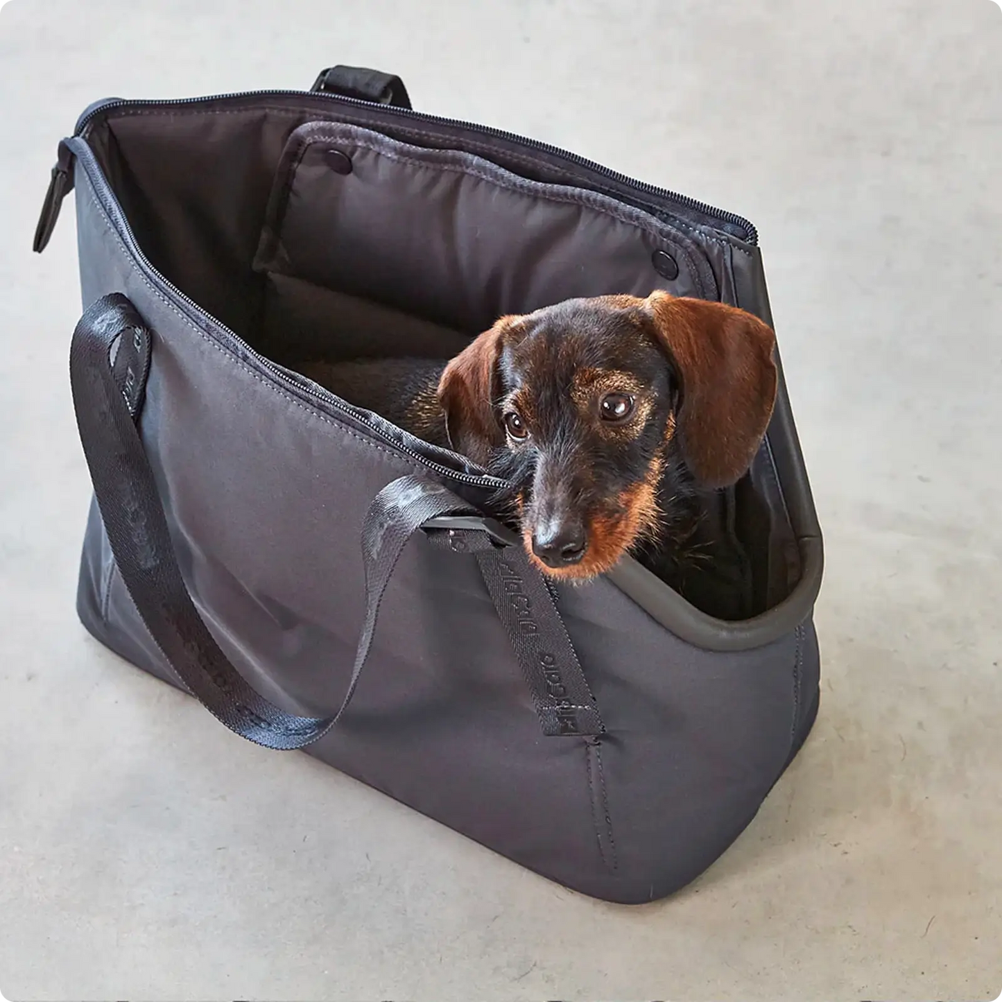 Sac Pour Chien Sporta Asphalt MiaCara - CHOUKETT Paris (5)