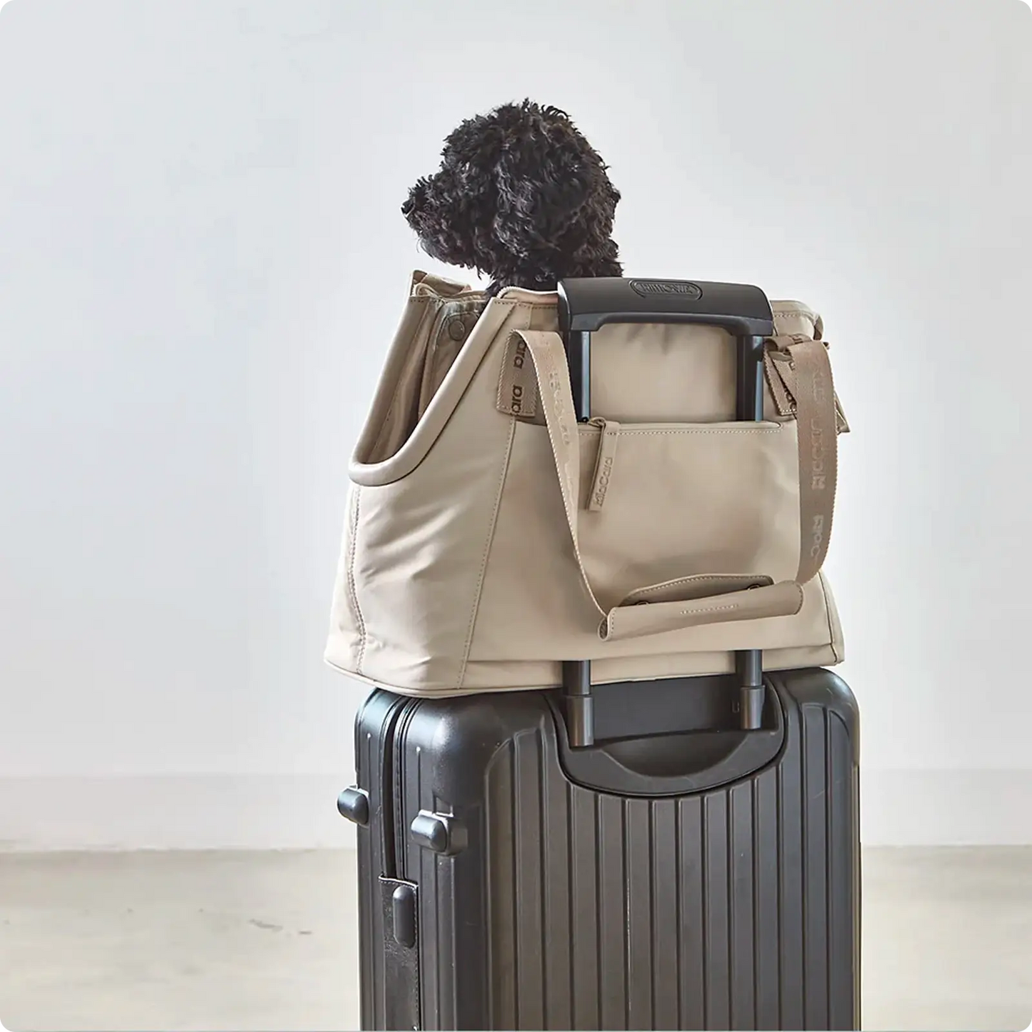 Sac Pour Chien Sporta Asphalt MiaCara - CHOUKETT Paris (7)
