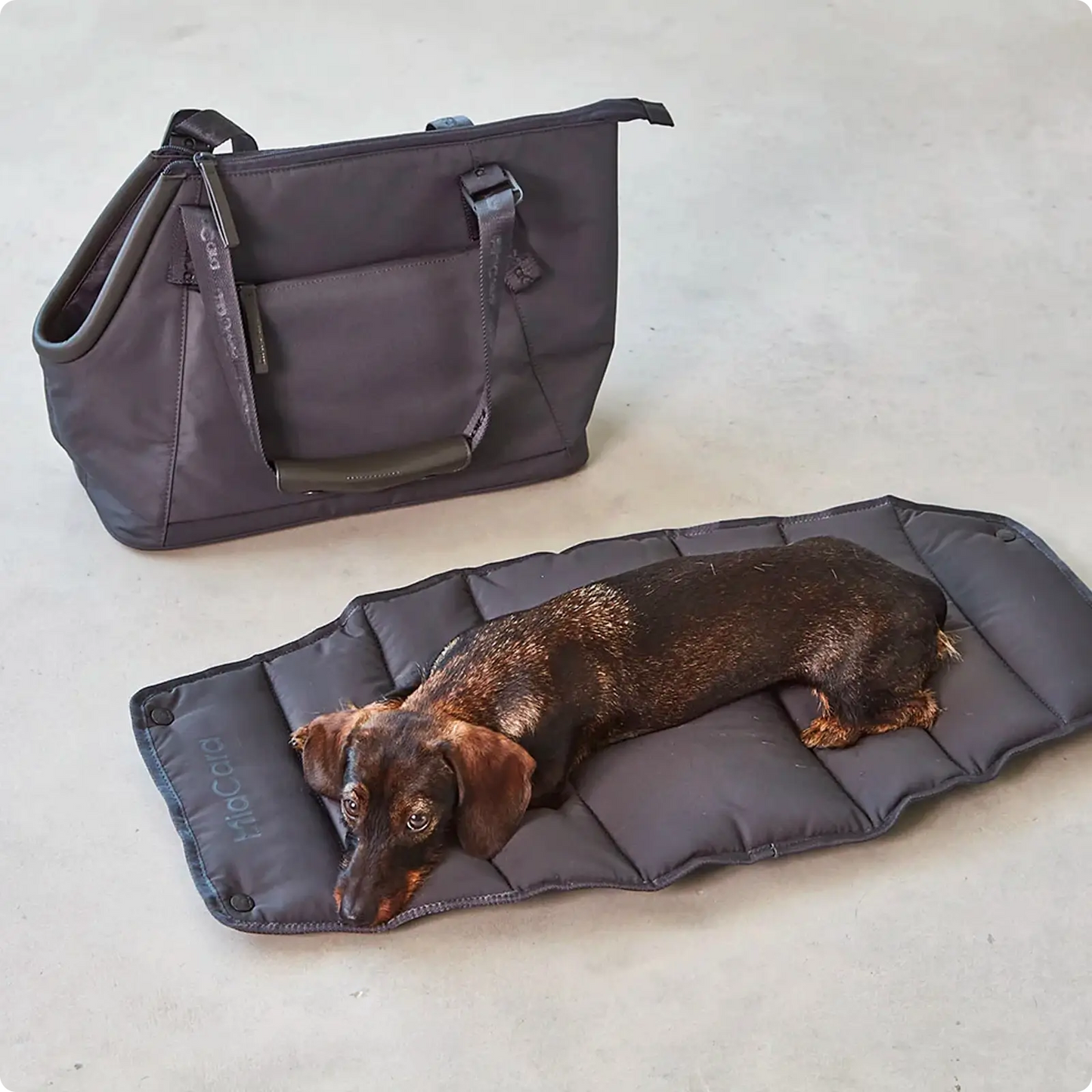 Sac Pour Chien Sporta Asphalt MiaCara - CHOUKETT Paris (3)