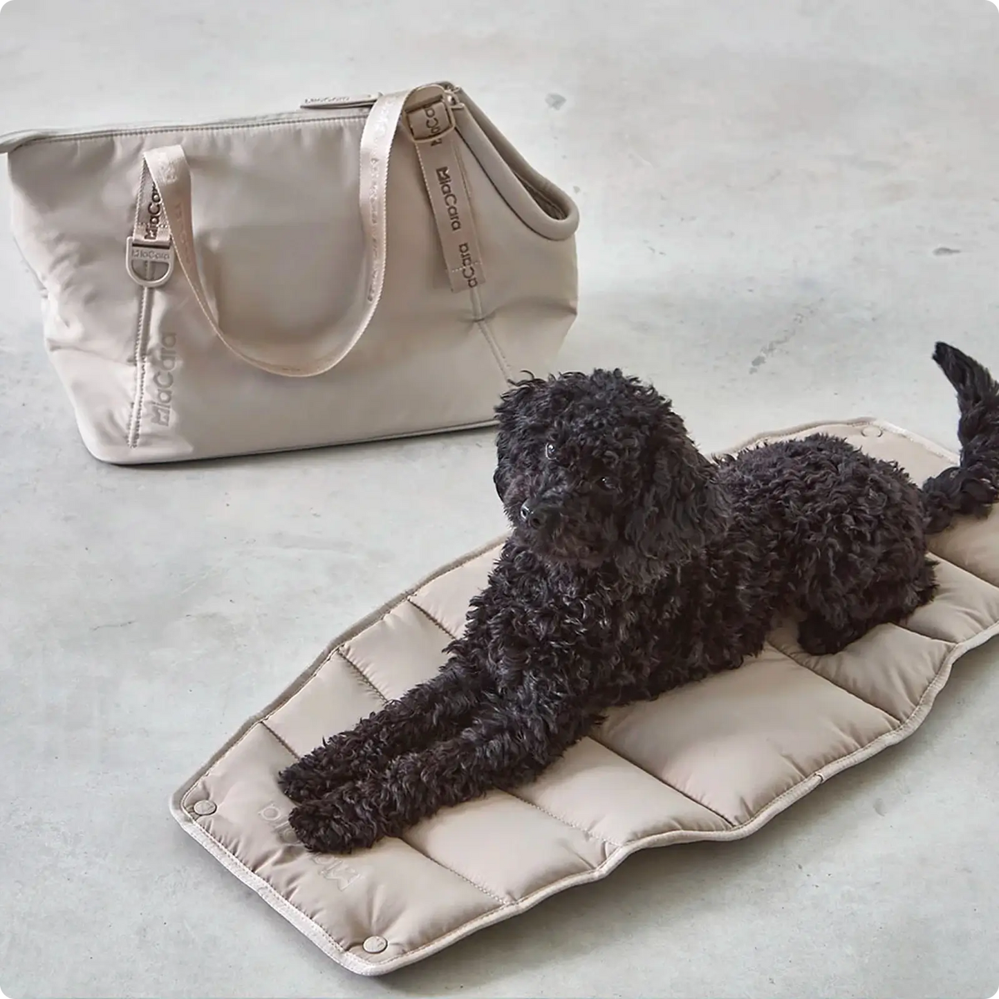 Sac Pour Chien Sporta Asphalt MiaCara - CHOUKETT Paris (8)Sac Pour Chien Sporta Asphalt MiaCara - CHOUKETT Paris (8)