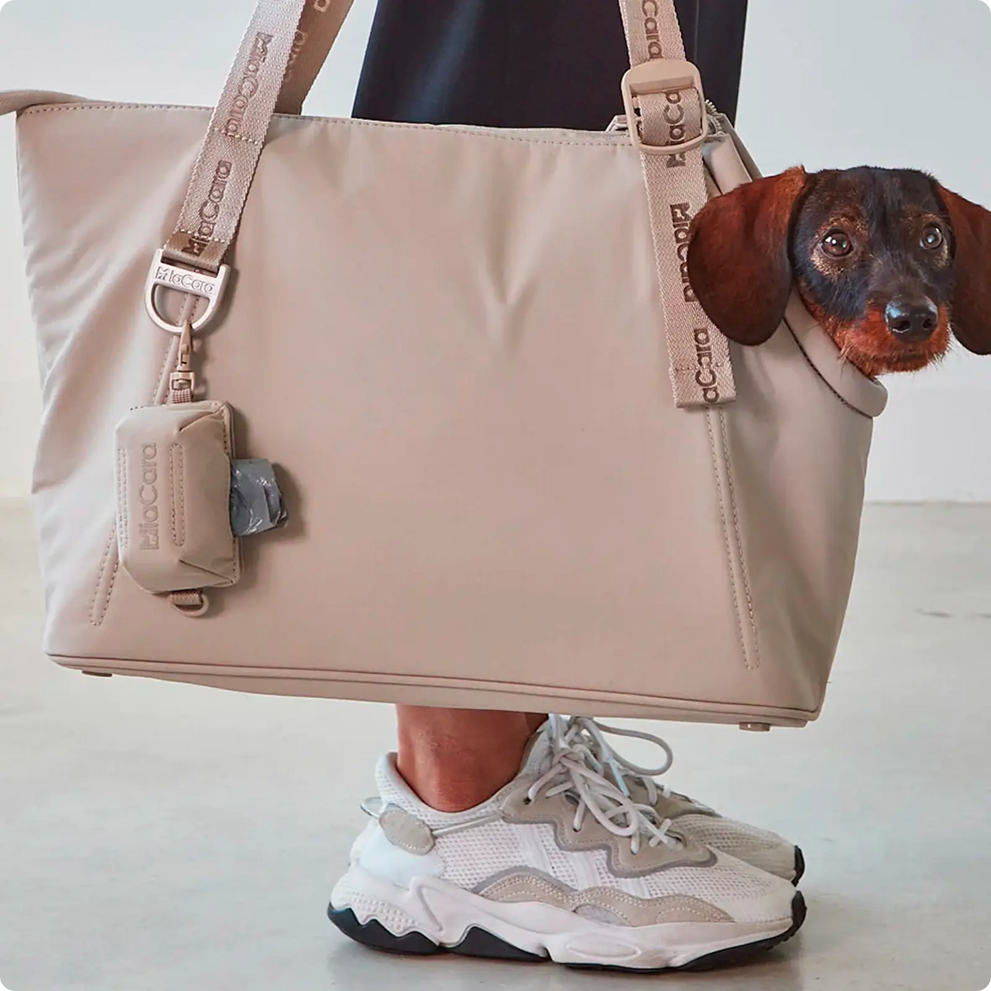 Distributeur Sacs à Déjection Sacchetto Greige MiaCara - CHOUKETT Paris (6)