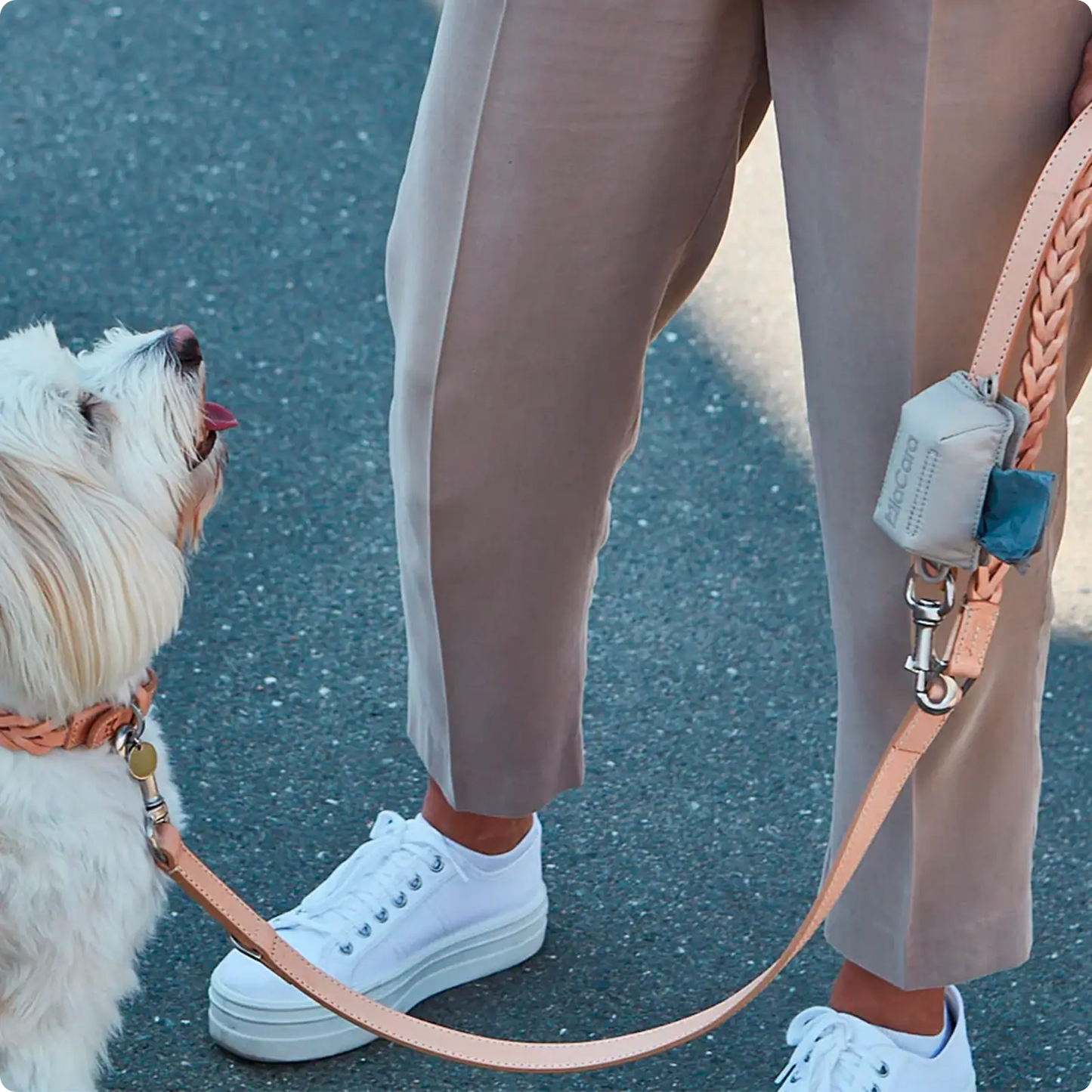 Distributeur Sacs à Déjection Sacchetto Asphalt MiaCara - CHOUKETT Paris (6)