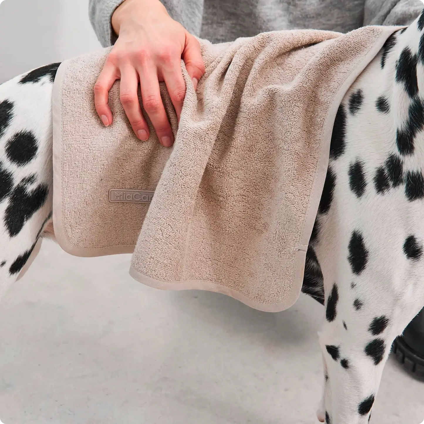 Serviette pour chien Secco Midnight MiaCara - CHOUKETT Paris (3)
