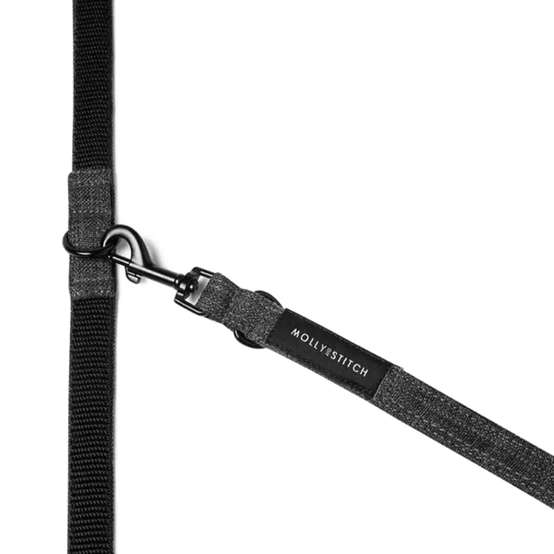 Laisse ajustable 3x chien Grey Molly & Stitch - Soft Rock - CHOUKETT Paris (2)