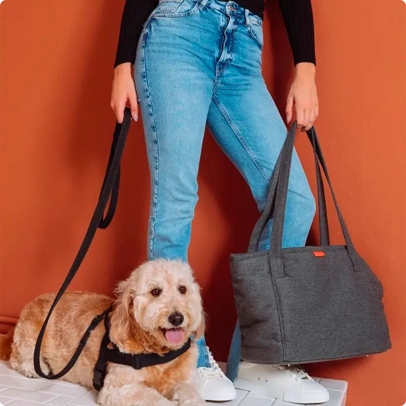 Laisse chien Black Molly & Stitch - Soft Rock - CHOUKETT Paris (4)