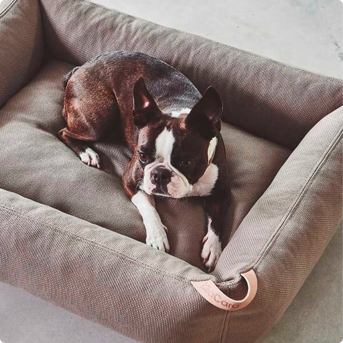 Lit pour Chien Sonno Glacier MiaCara - CHOUKETT Paris (3)